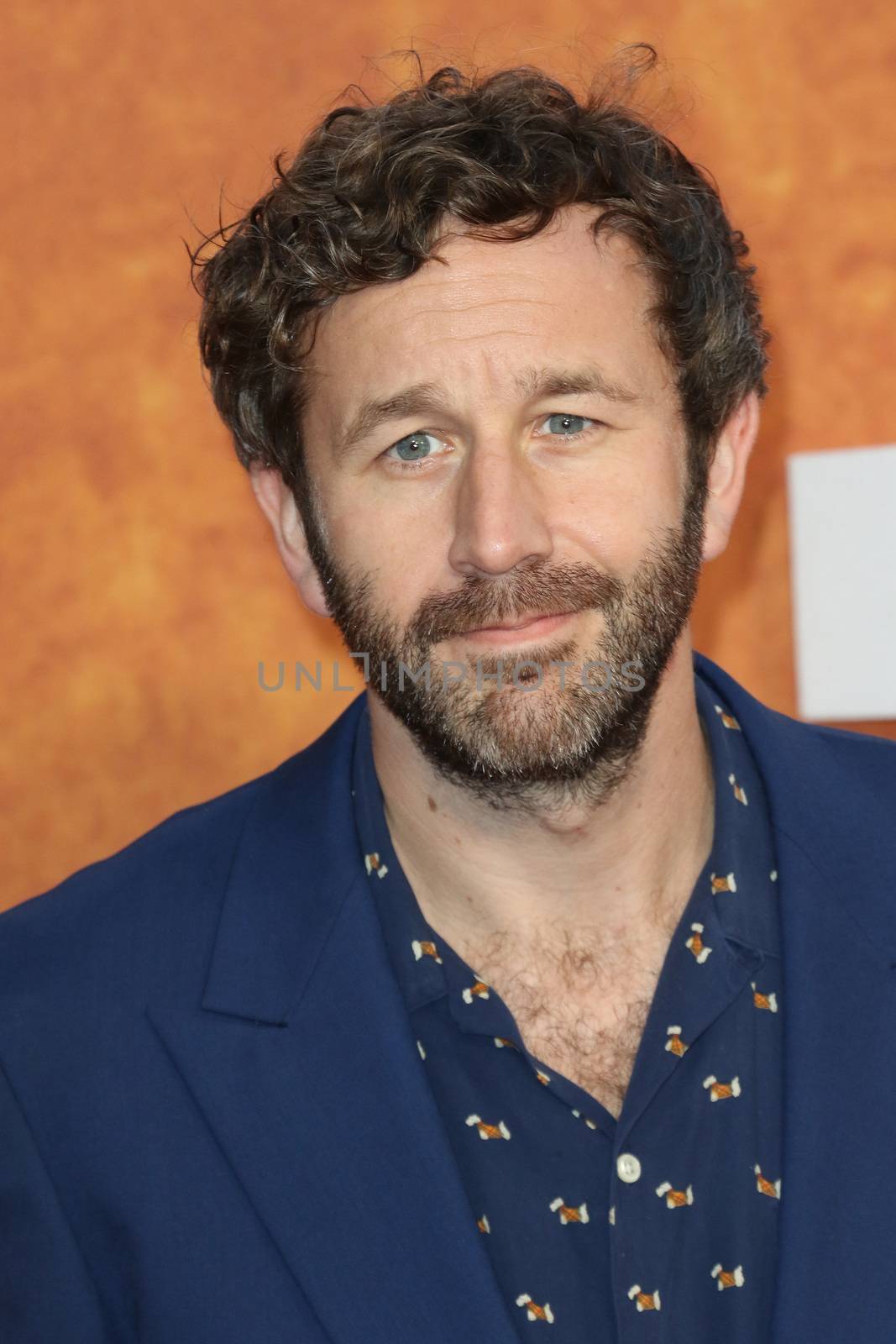 ENGLAND, London: Chris O'Dowd attends the European premiere of The Martian in Leicester Square in London, UK on September 24, 2015