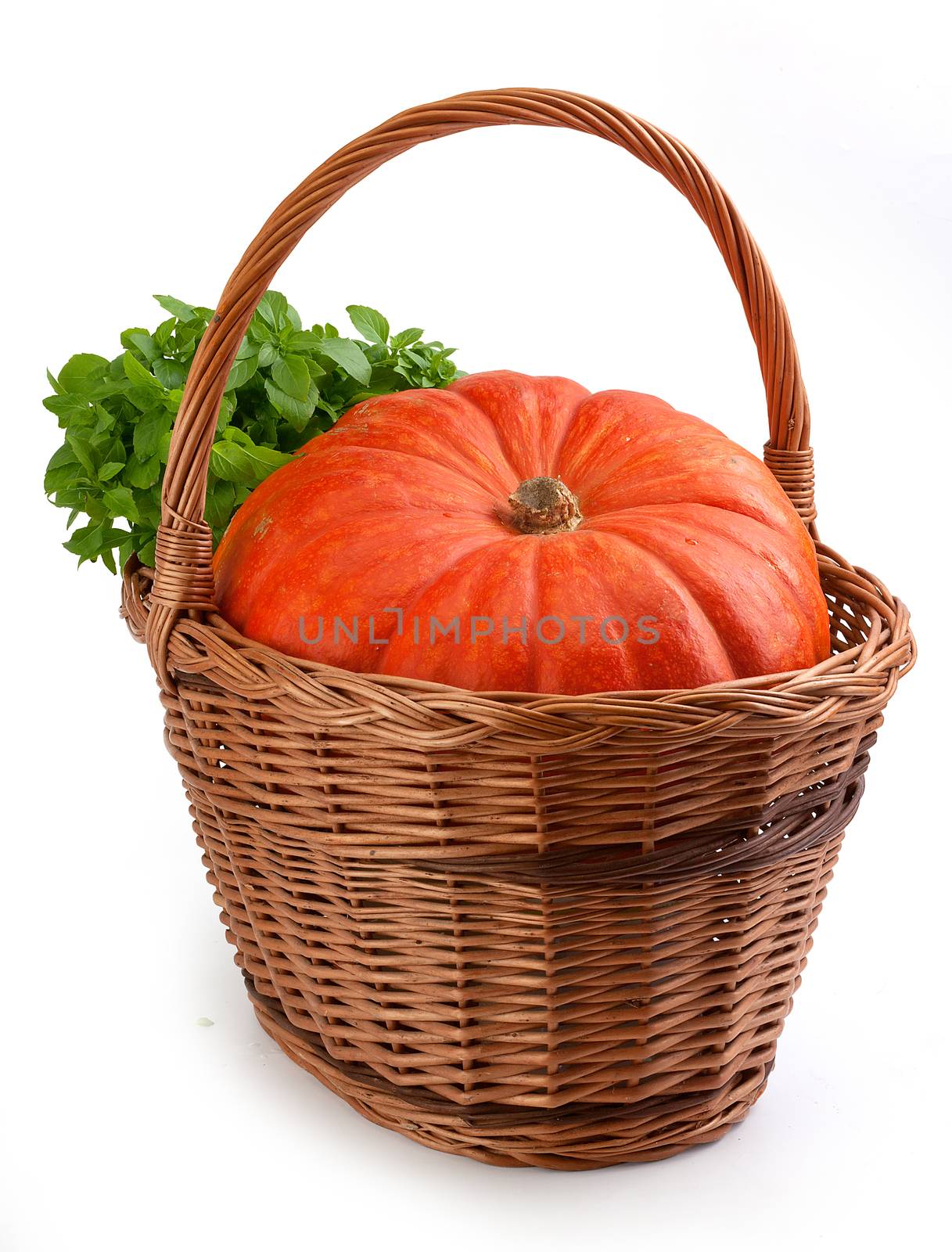 Isolated orange pumpkin with green basil in the brown basket