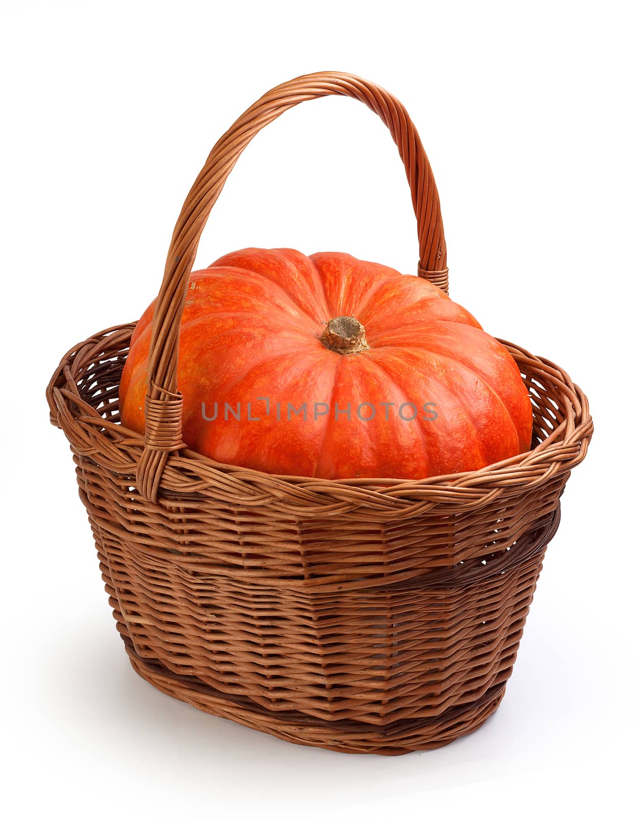 Pumpkin in the basket by Angorius