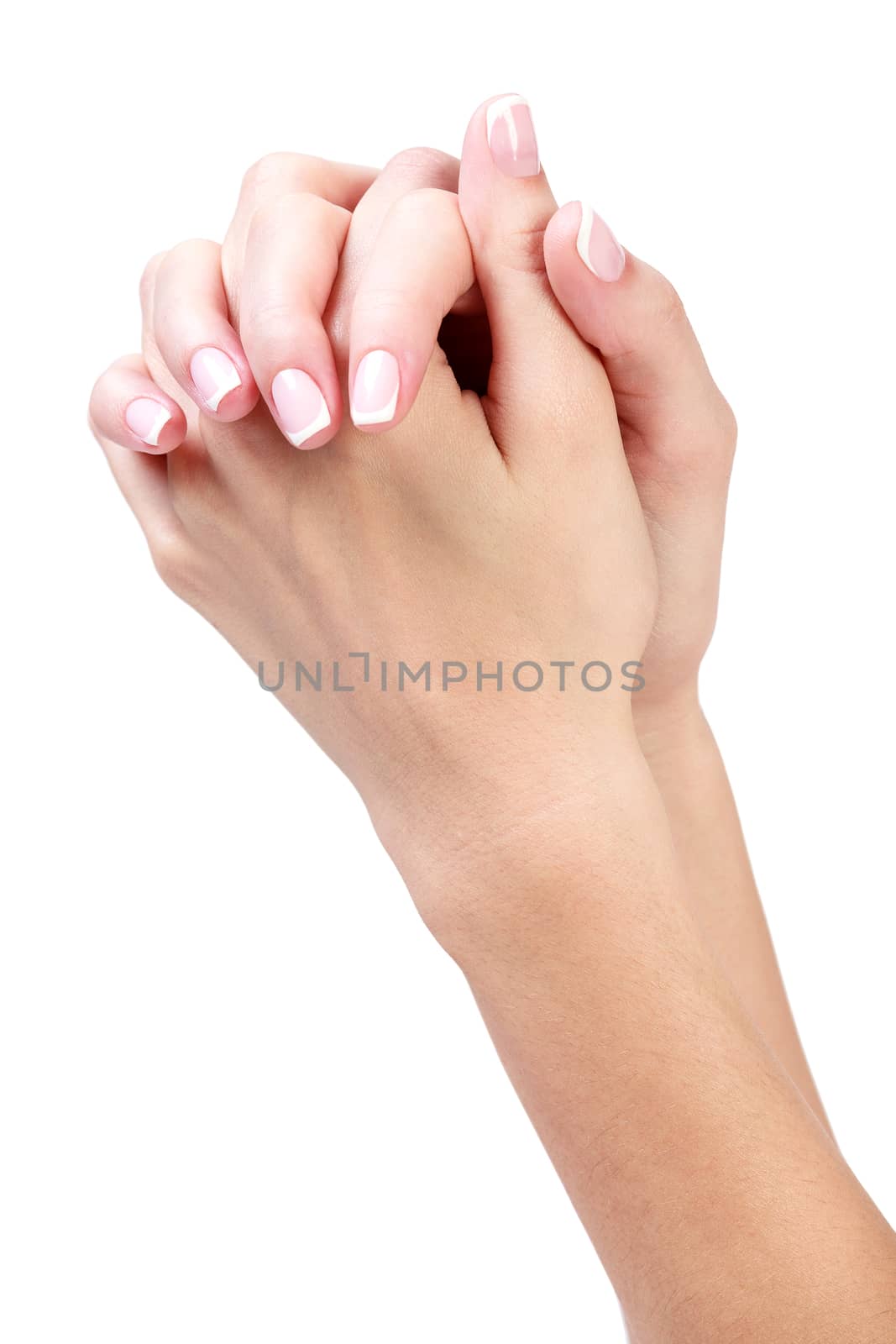 Well-groomed female hands, isolated on white background