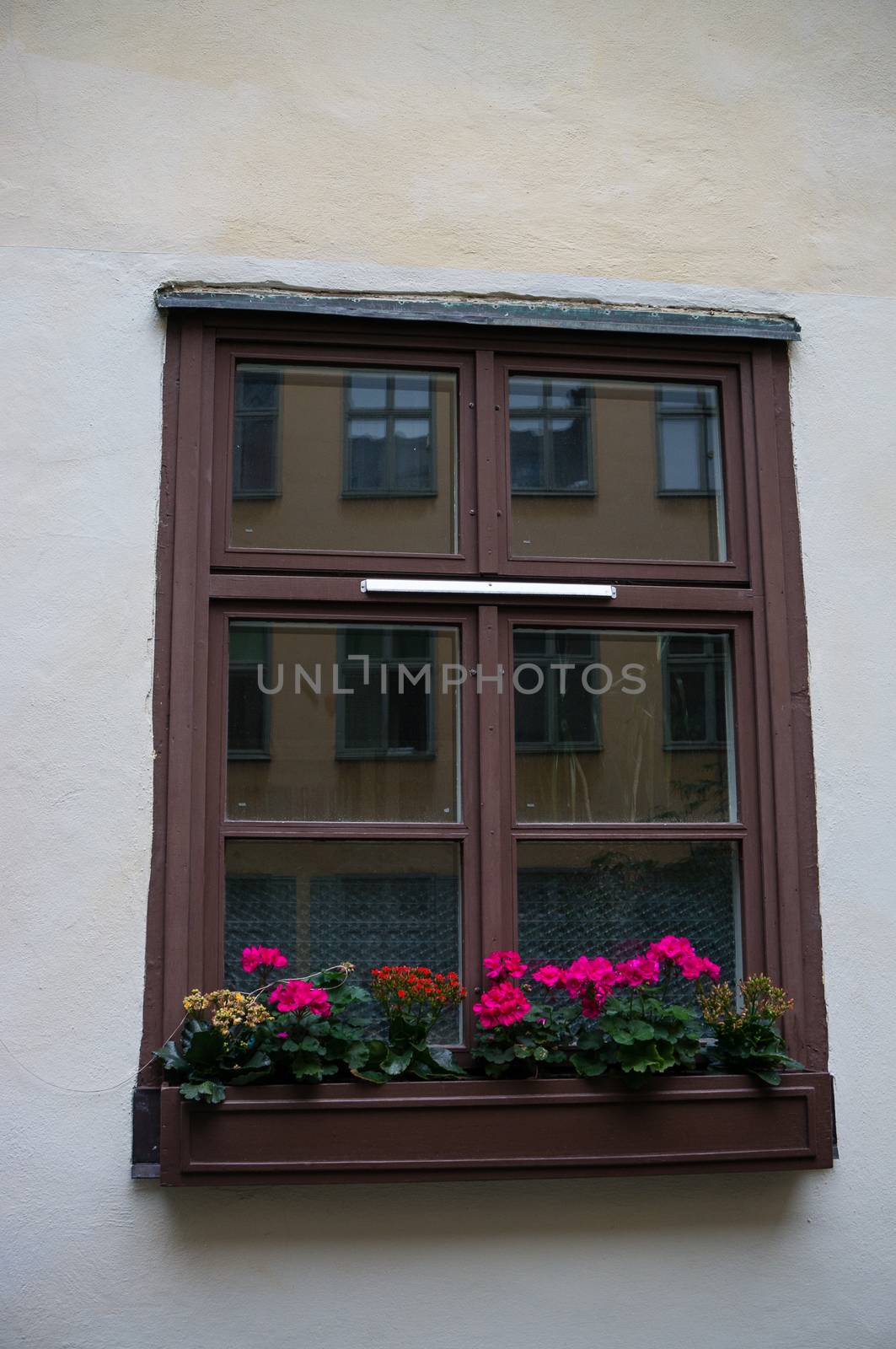 Stockholm windows by javax