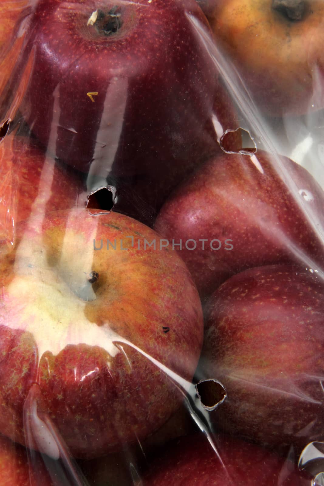 close-up apple in cellophane bags by diecidodici