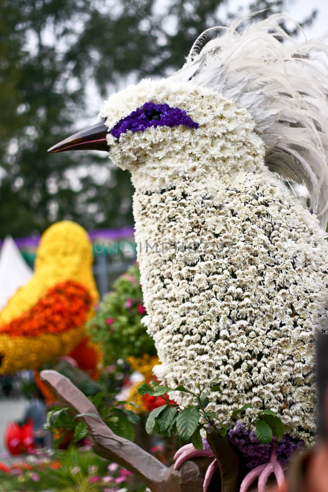 Biird with flower decoration and blur background