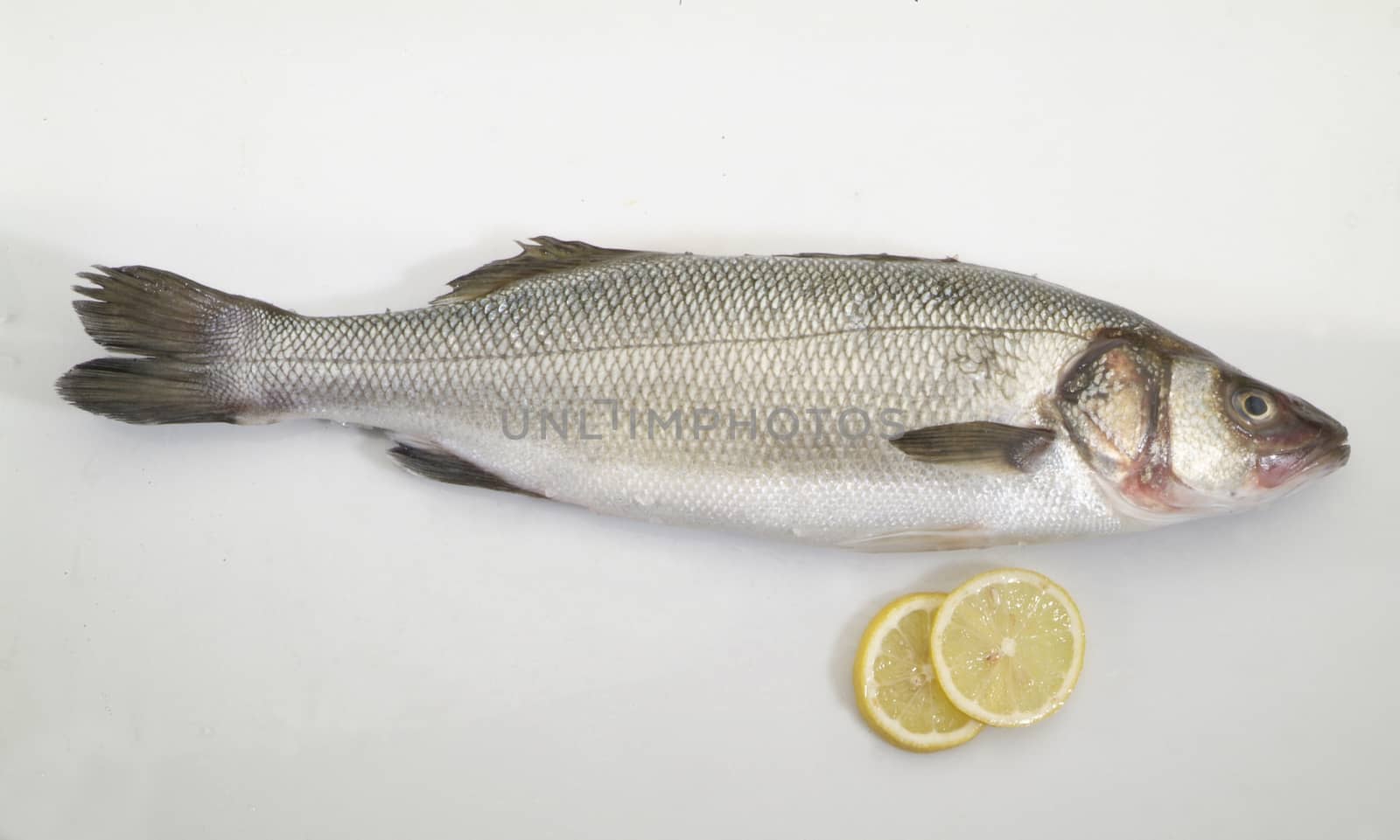 Fresh sea bass with lemon slices