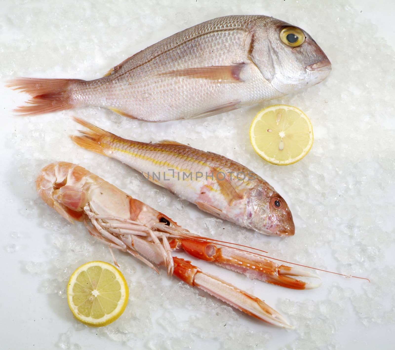 three fresh fish on ice with lemon slices