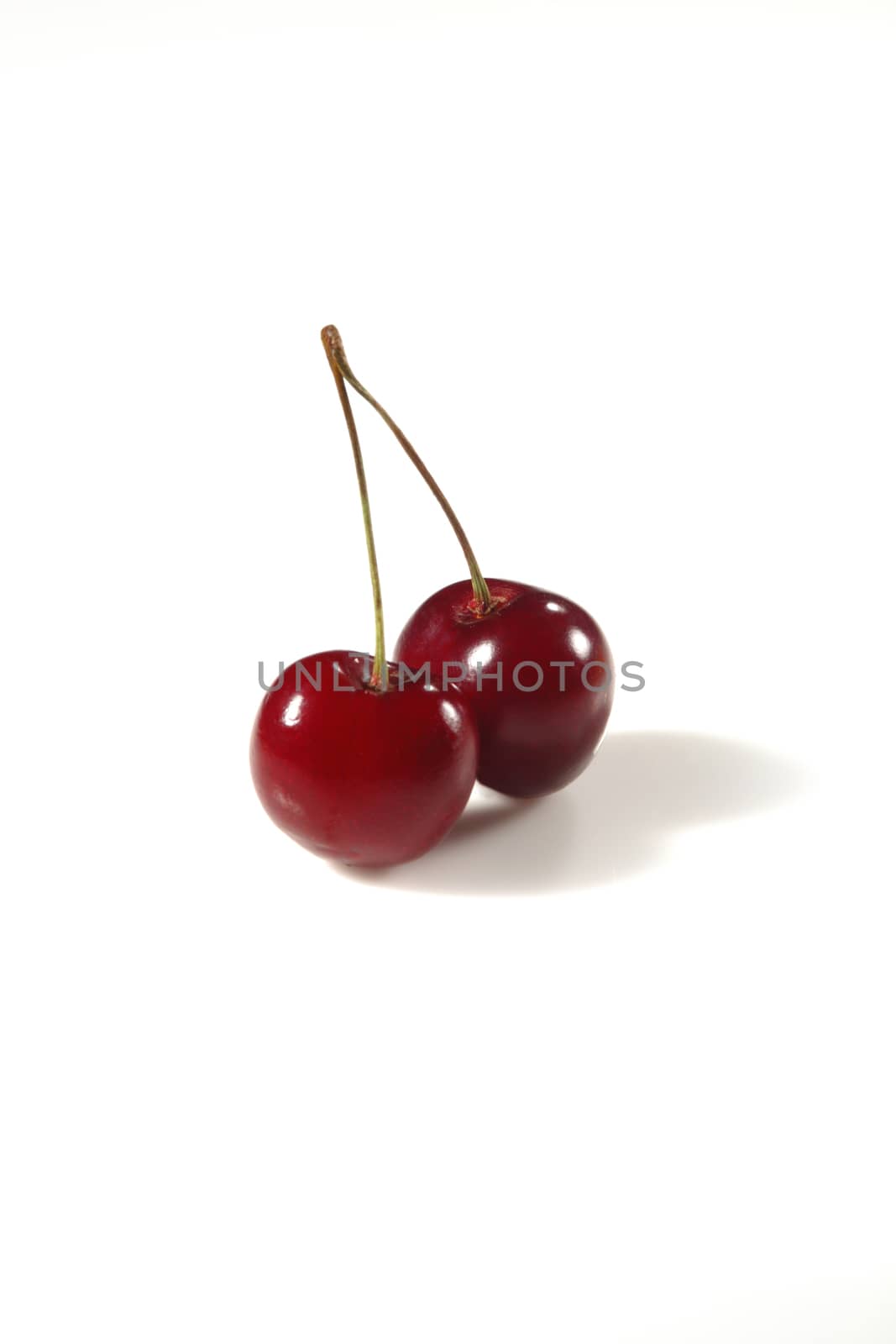 two sweet cherry isolate on white background