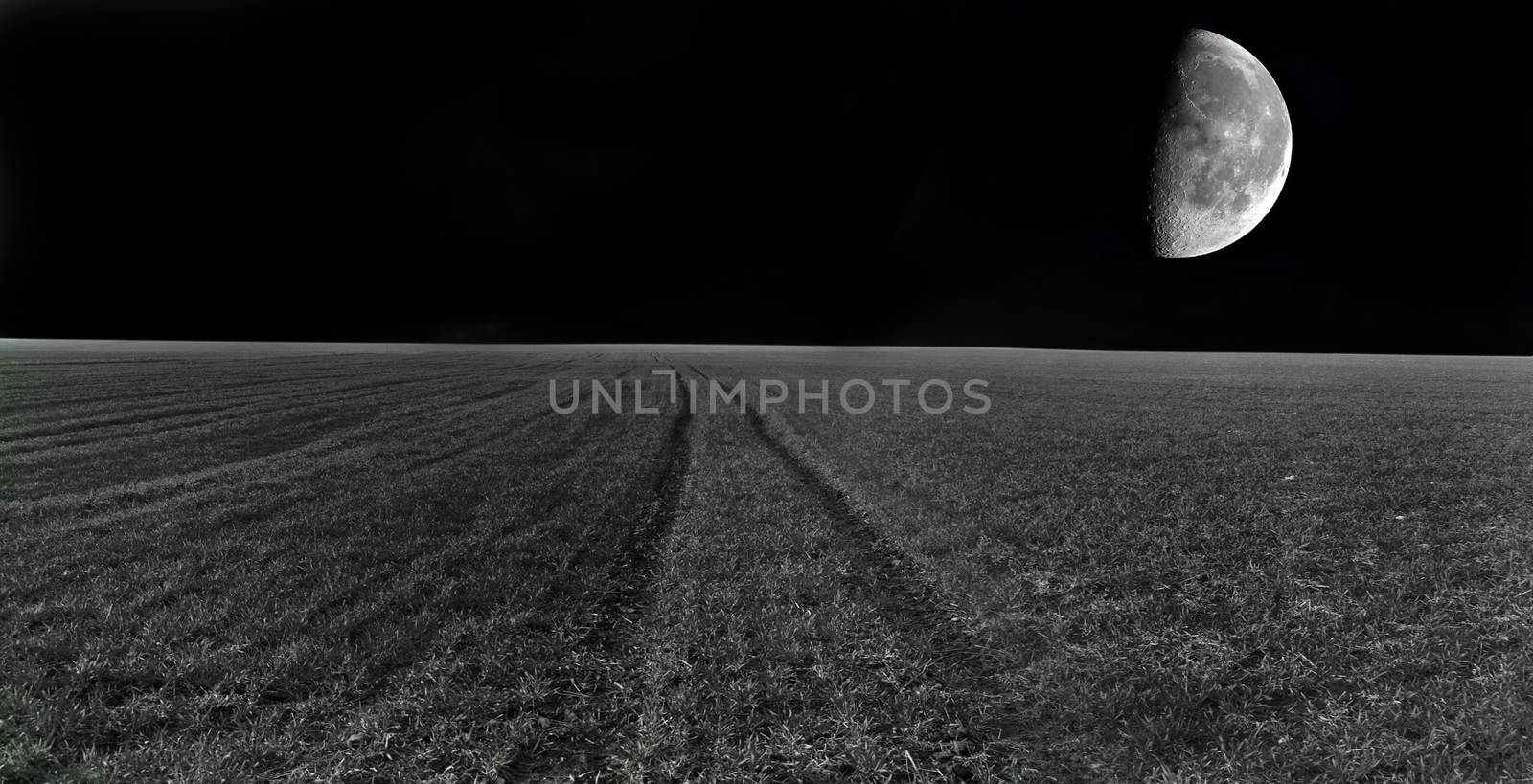 Night on field image. Moon over the field.