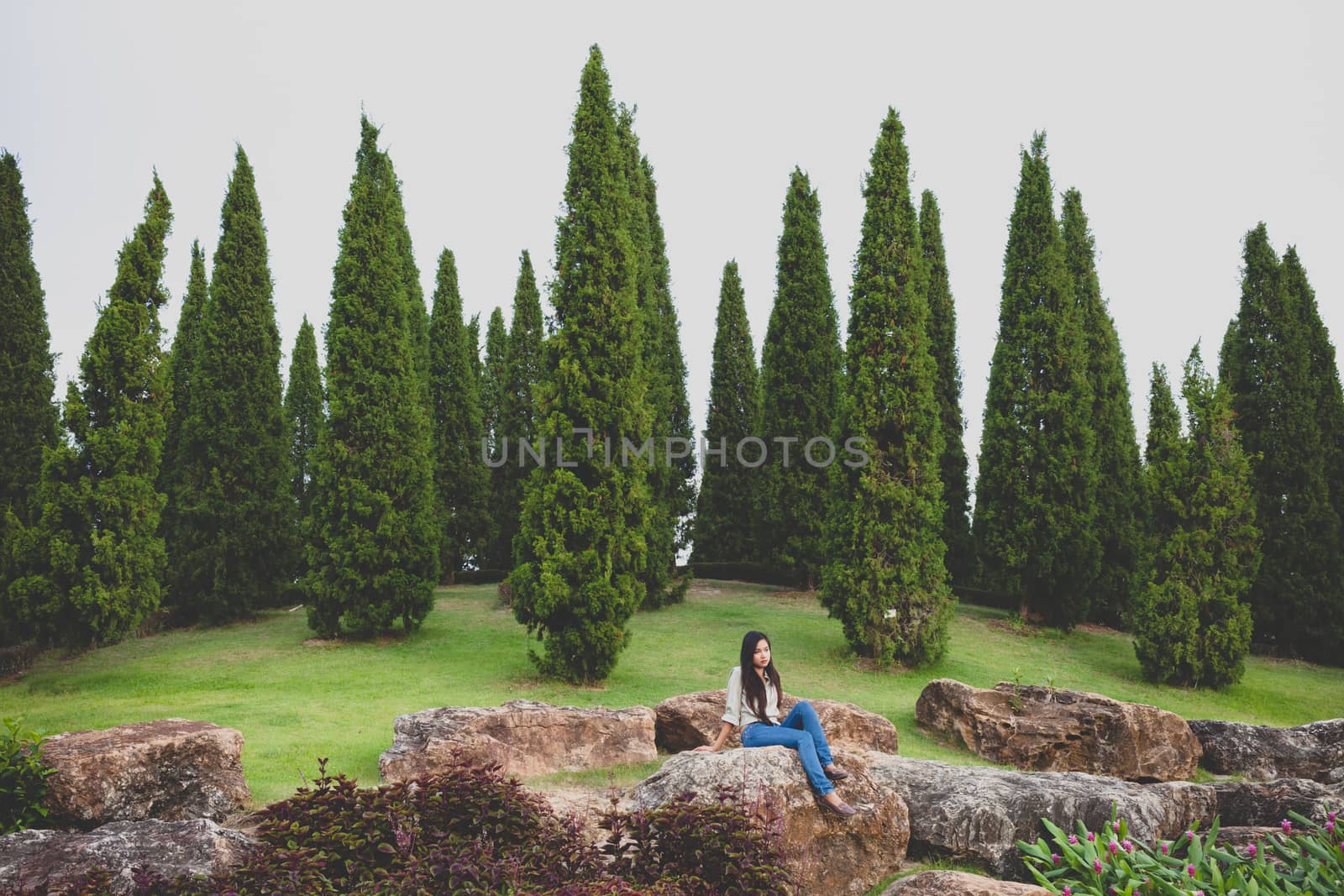 Alone women sitting on stone and pine trees with green grass in the garden. hard fade vintage tone