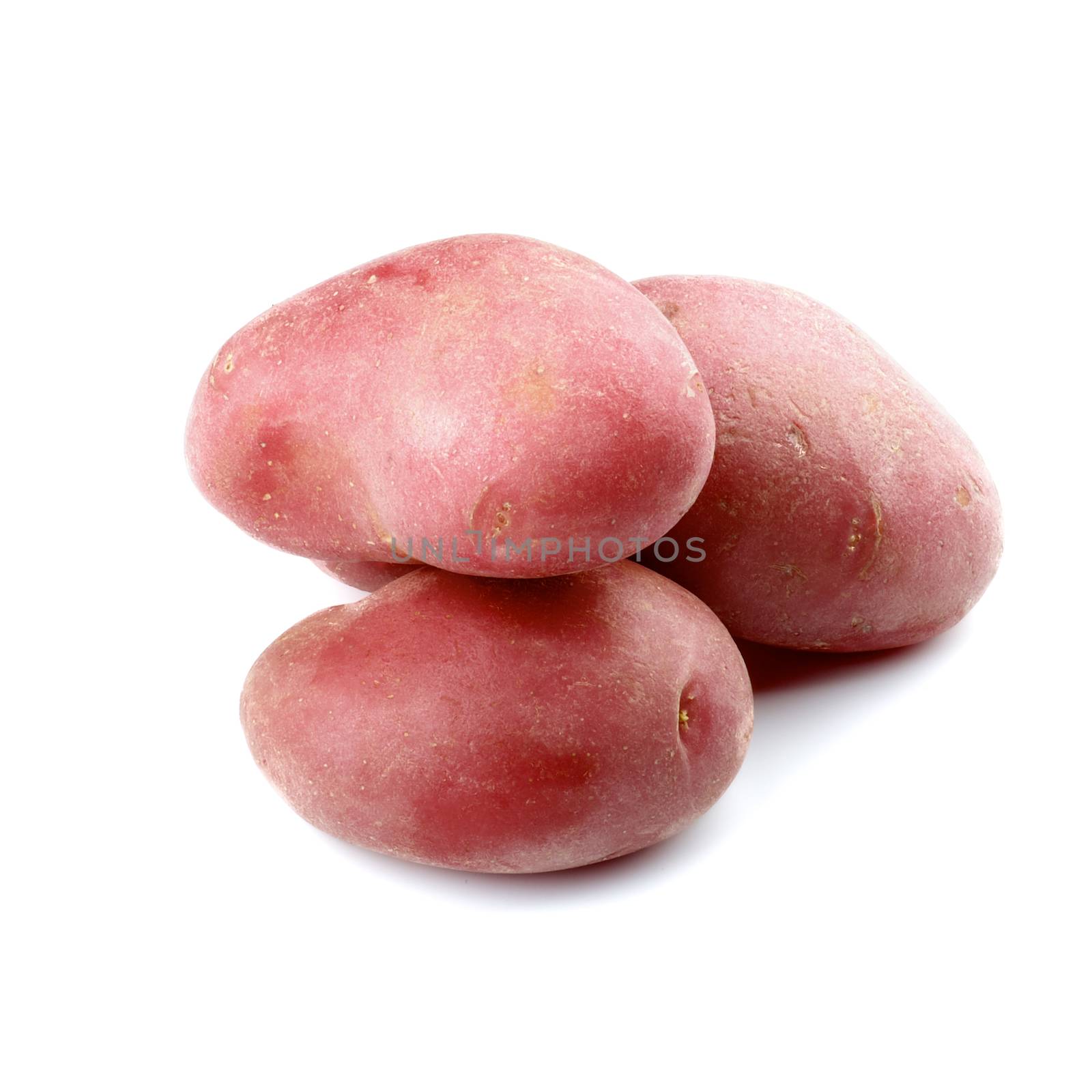 Three Big Raw Red Fingerling Potatoes isolated on white background