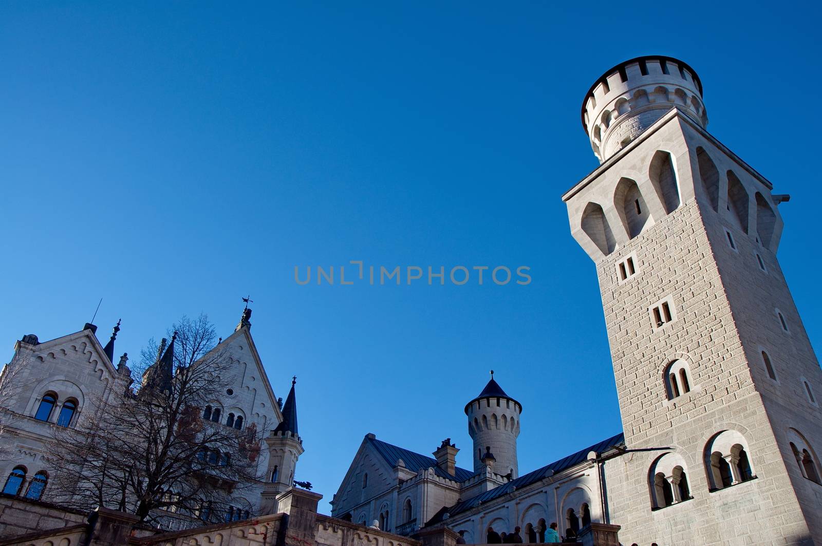 Castle of Neuschwanstein near Munich in Germany by anderm