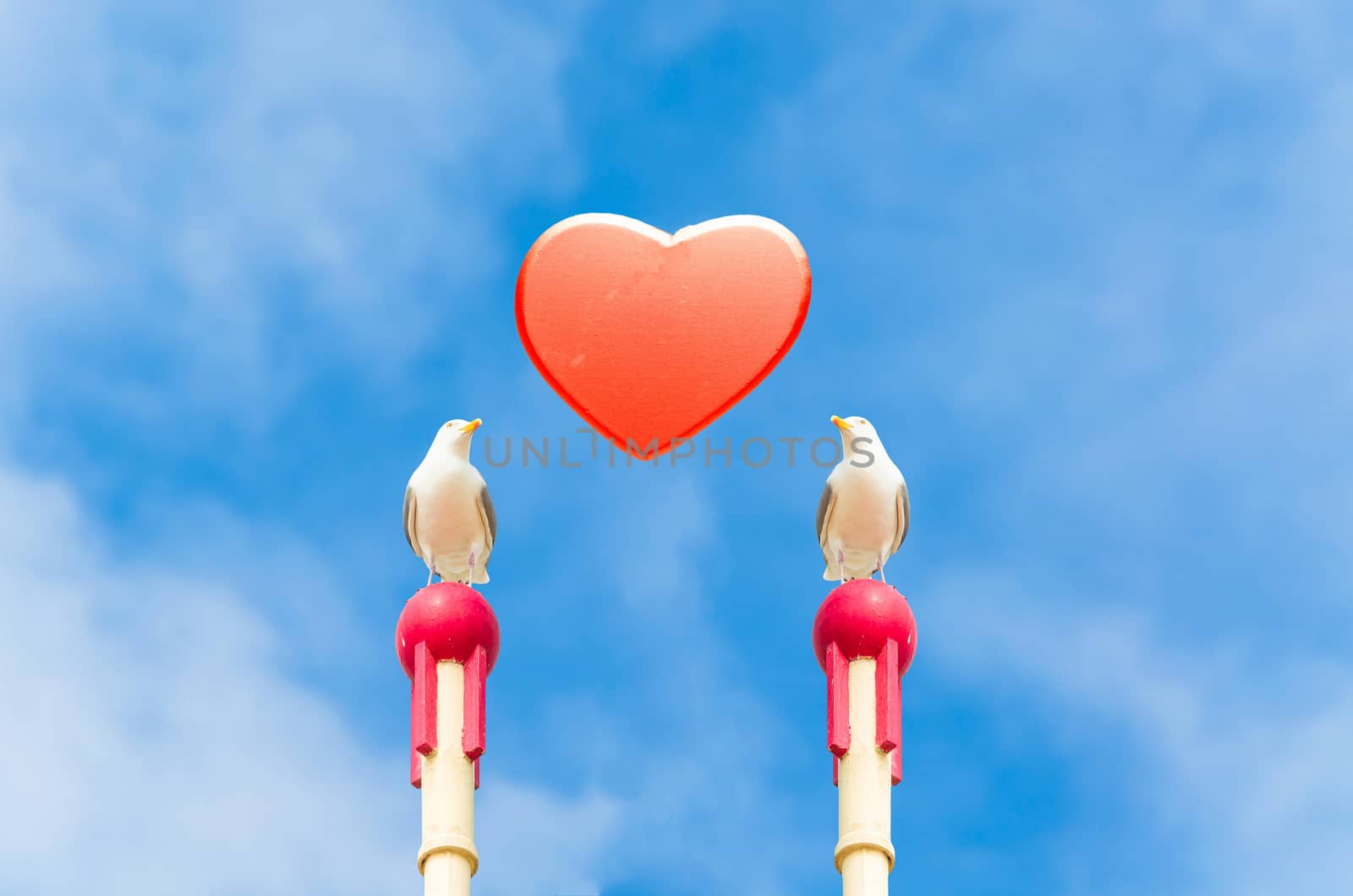 Two large seagull sitting on a wooden post. In the middle of a red heart in front of blue sky. Symbol of love.
