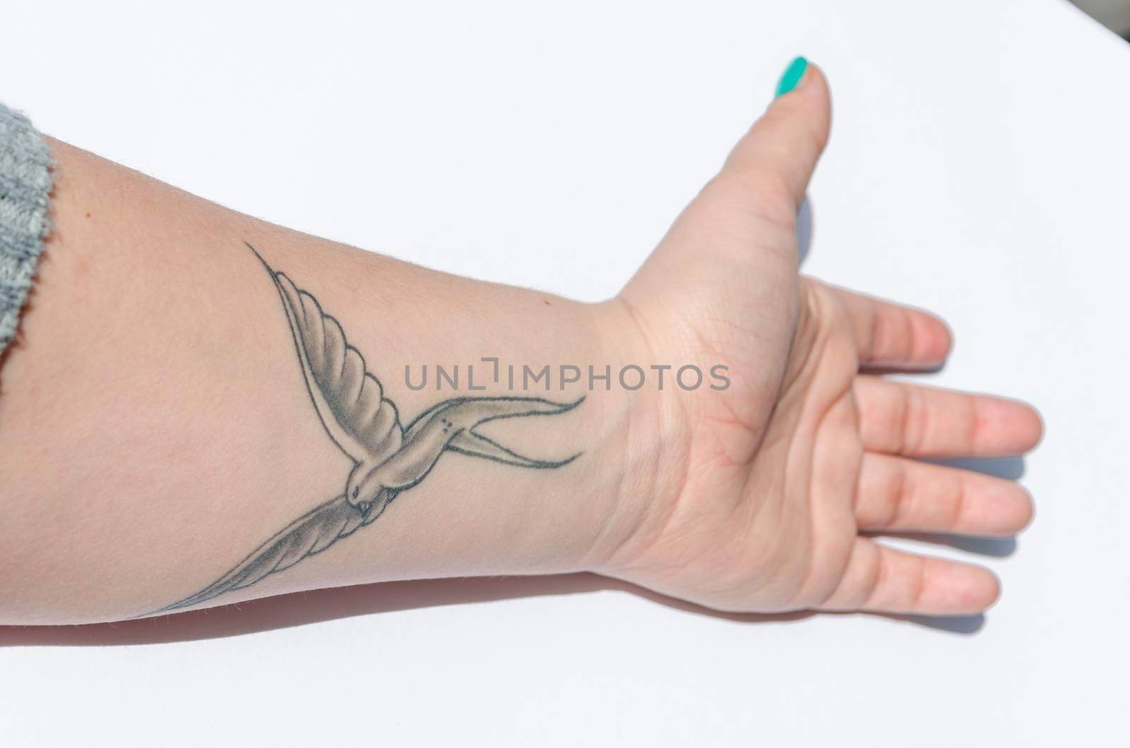 A tattoo of a bird, here it is a swallow on a forearm.