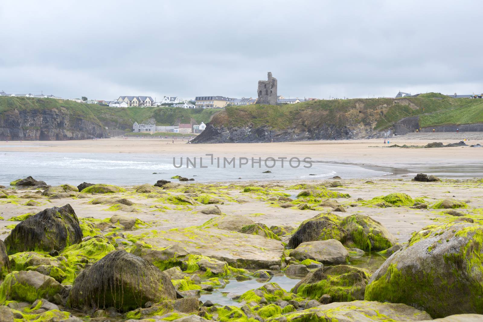 ballybunion castle seaweed covered rocks by morrbyte