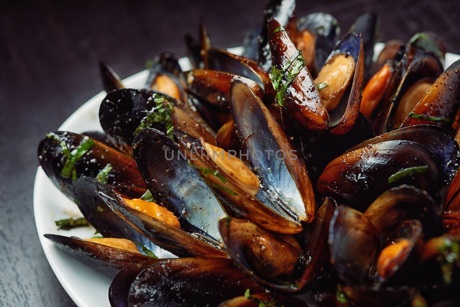 Seafood - Steamed Mussels on white plate by shivanetua