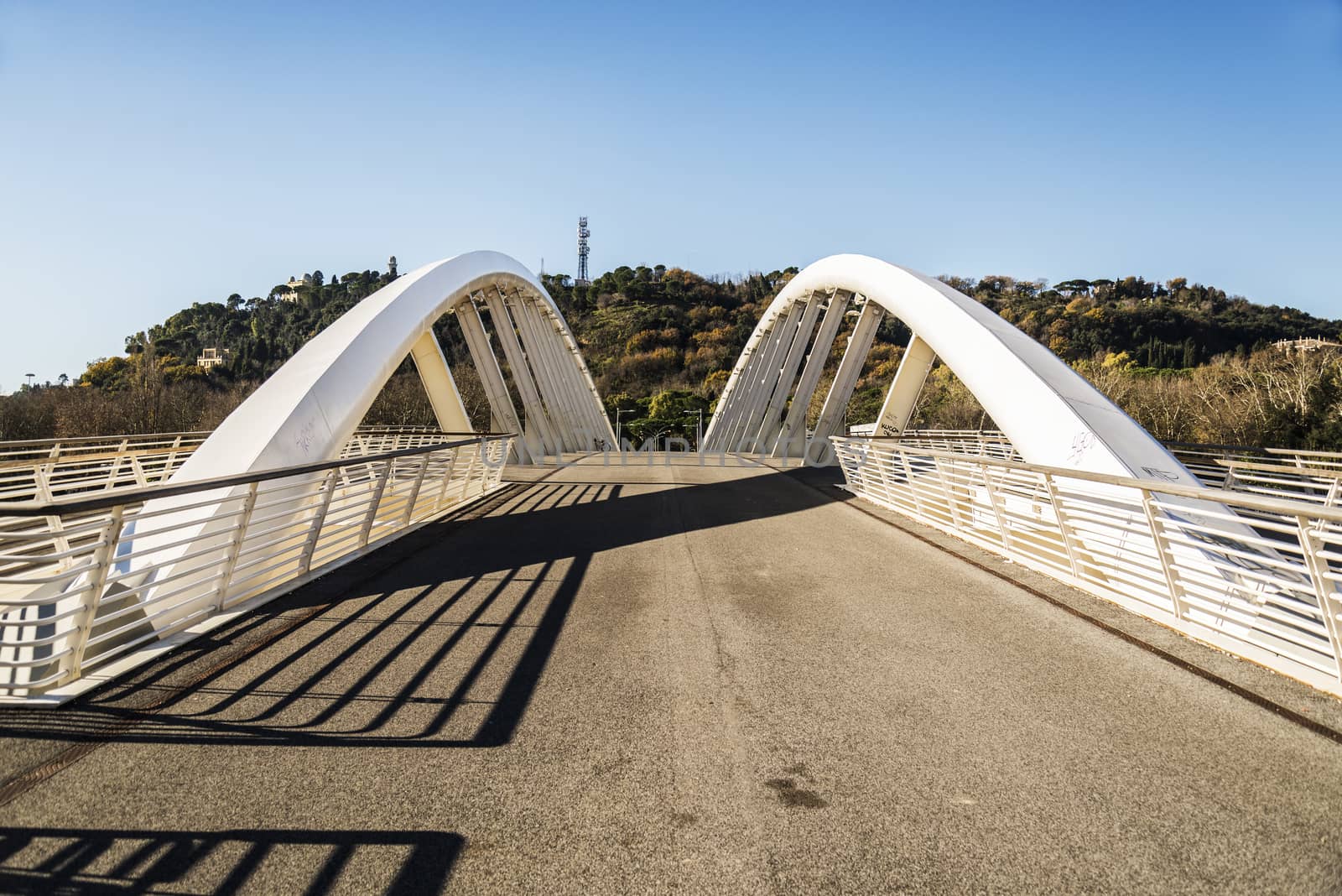 Ponte della Musica on the Tiber river in Rome, Italy