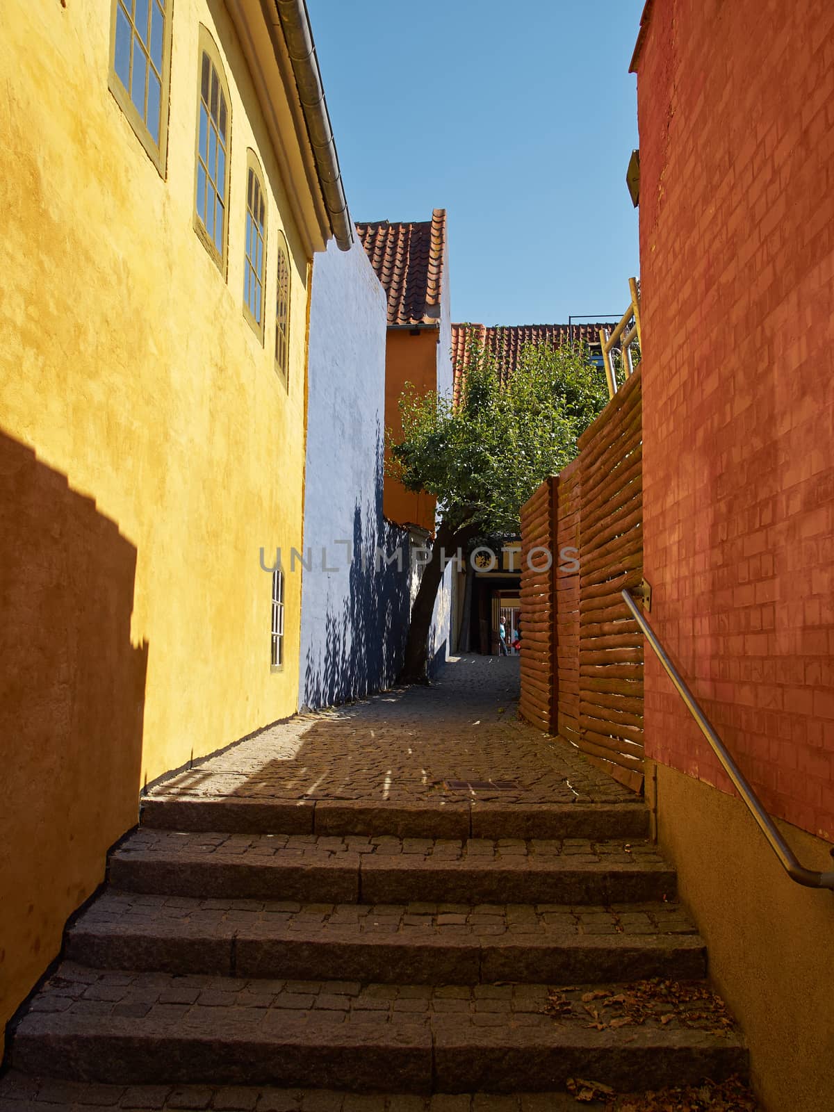 Typical small street with old houses Denmark by Ronyzmbow