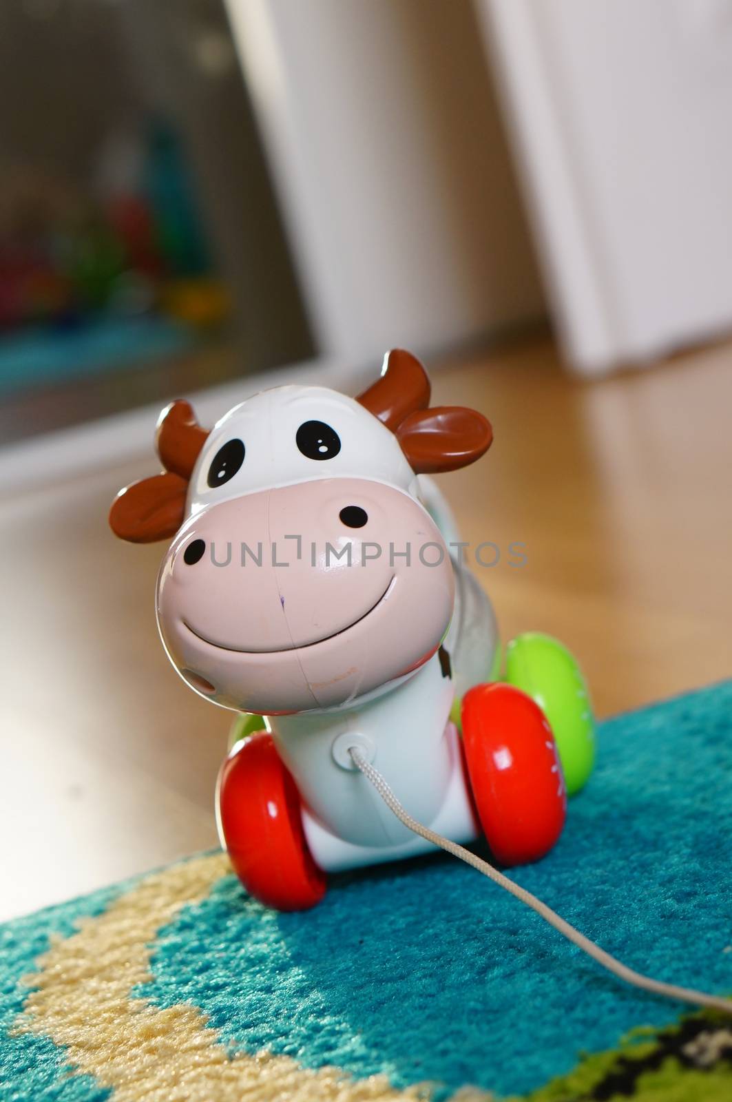 POZNAN, POLAND - AUGUST 20, 2015: Wheeled toy cow with pull rope on the floor