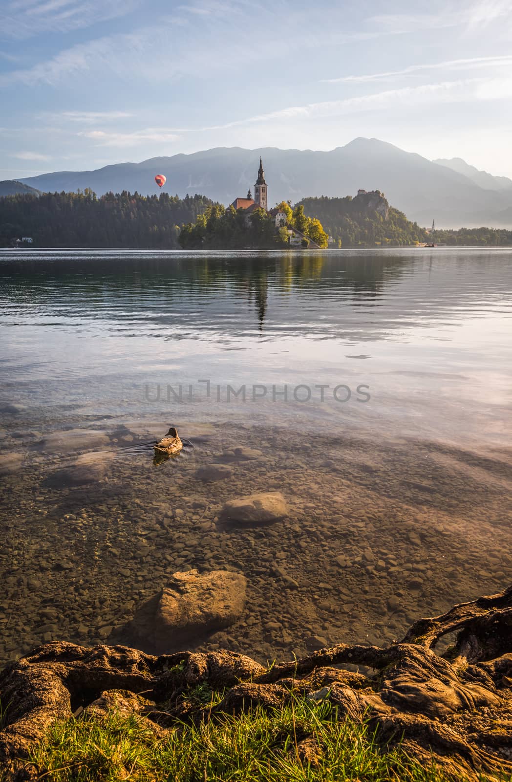 Little Island with Catholic Church in Bled Lake, Slovenia  at Sunrise with Castle Hot Air Balloon and Mountains in Background