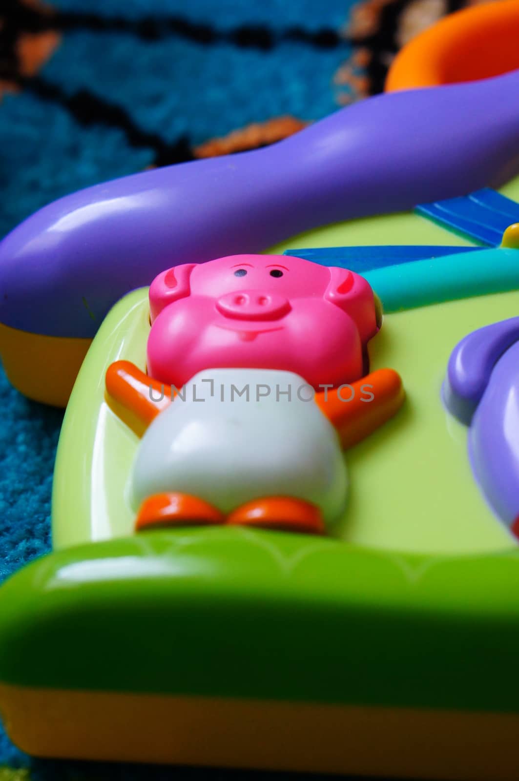 Pig button of a baby sound toy