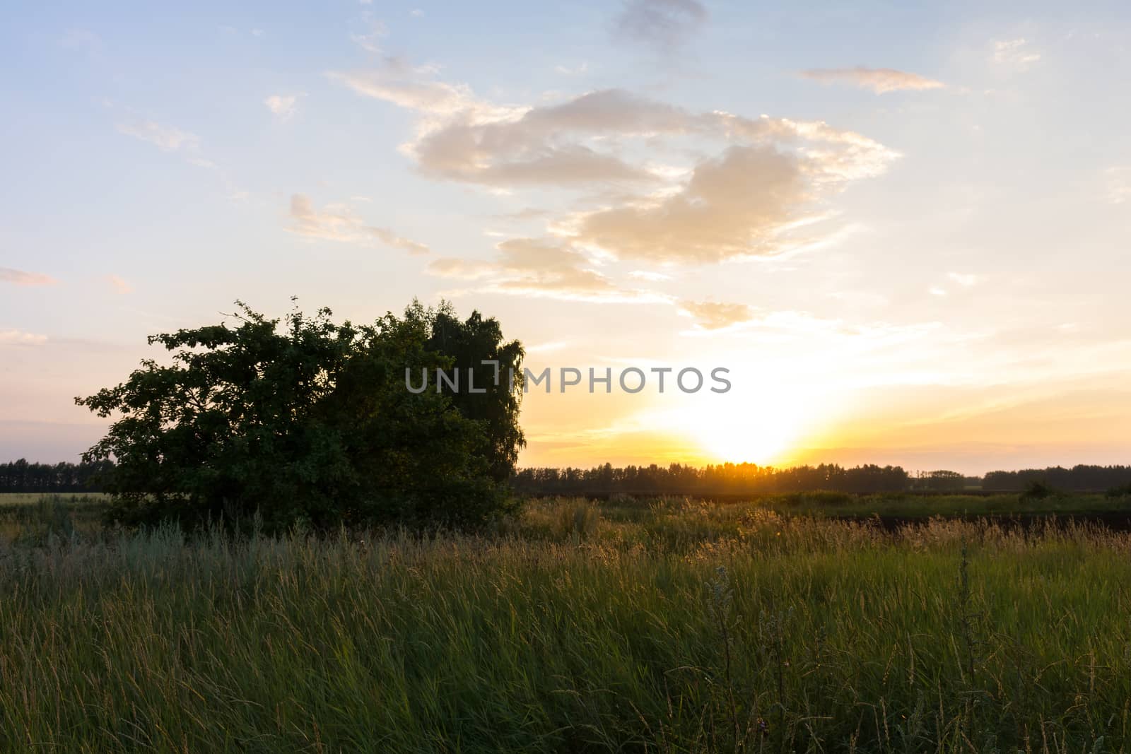 The picture shows a sunset by AlexBush