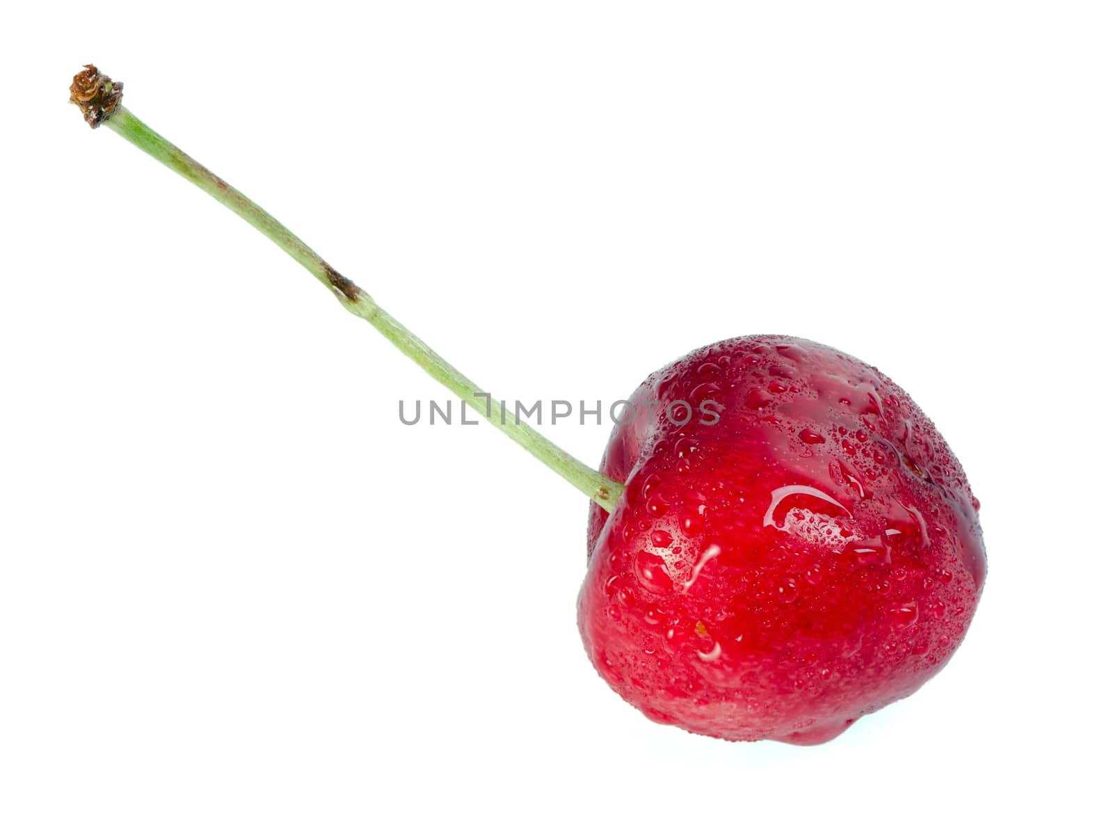 Fresh dewy cherry isolated on white background.