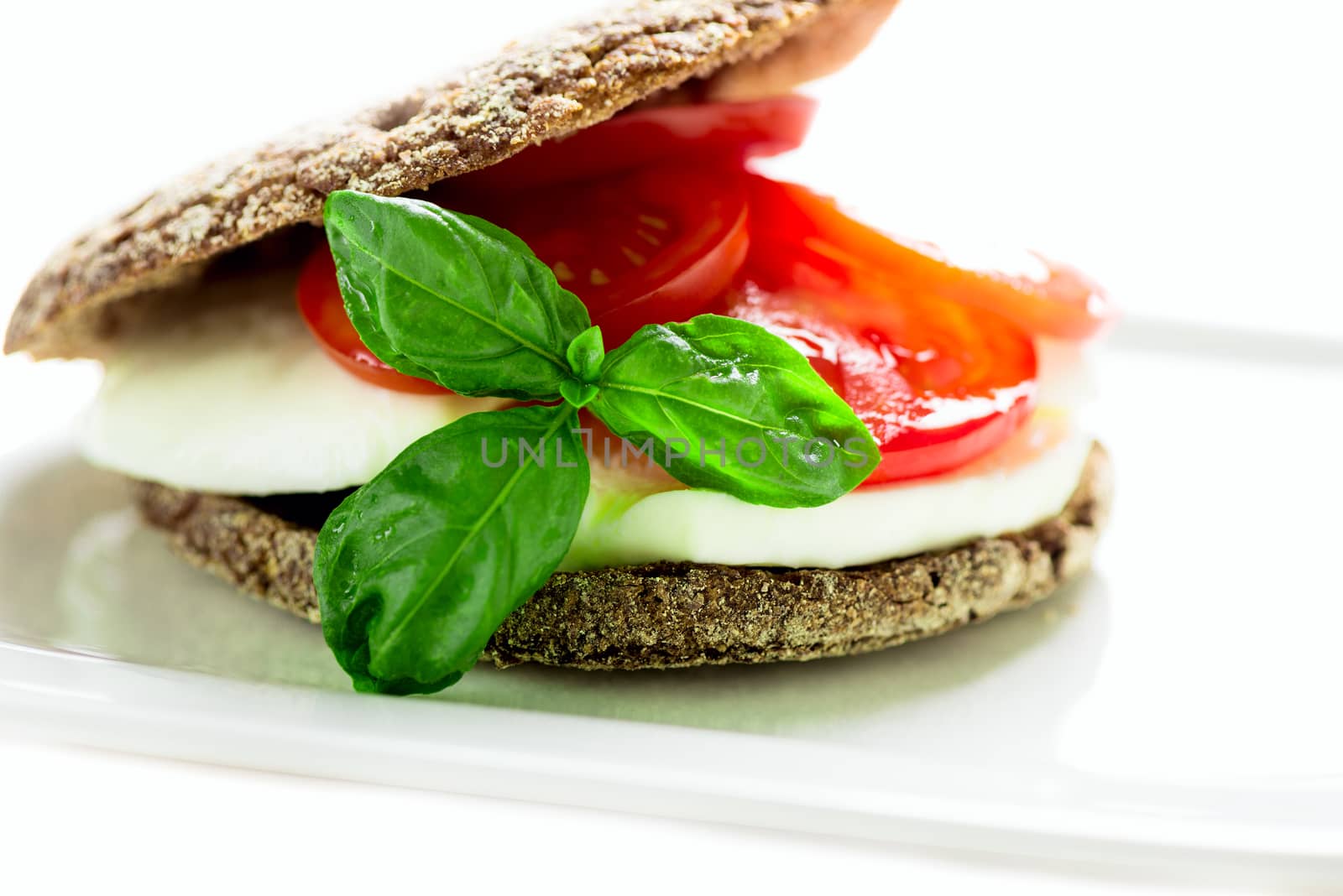 Sandwich with mozzarella, tomatoes and rye bread