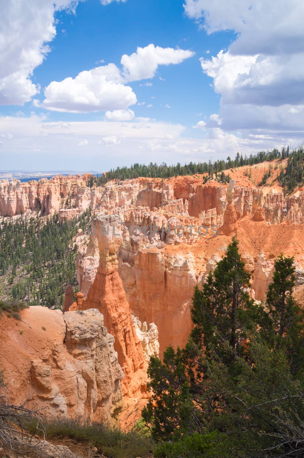 Deep sandstone canyons of Bryce Canyon national Park by emattil