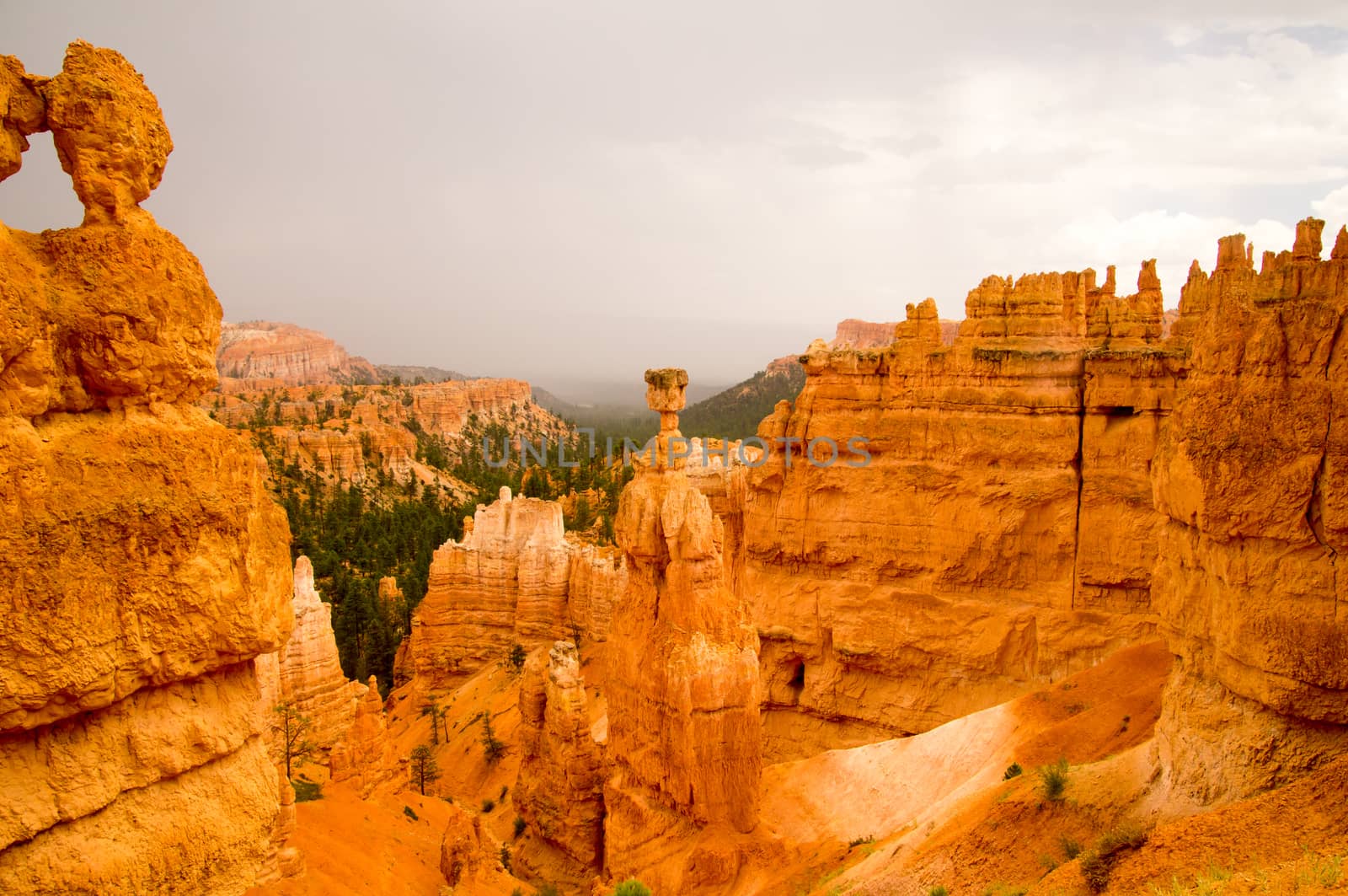 Storm clears over Bryce Canyon National Park, Utah USA