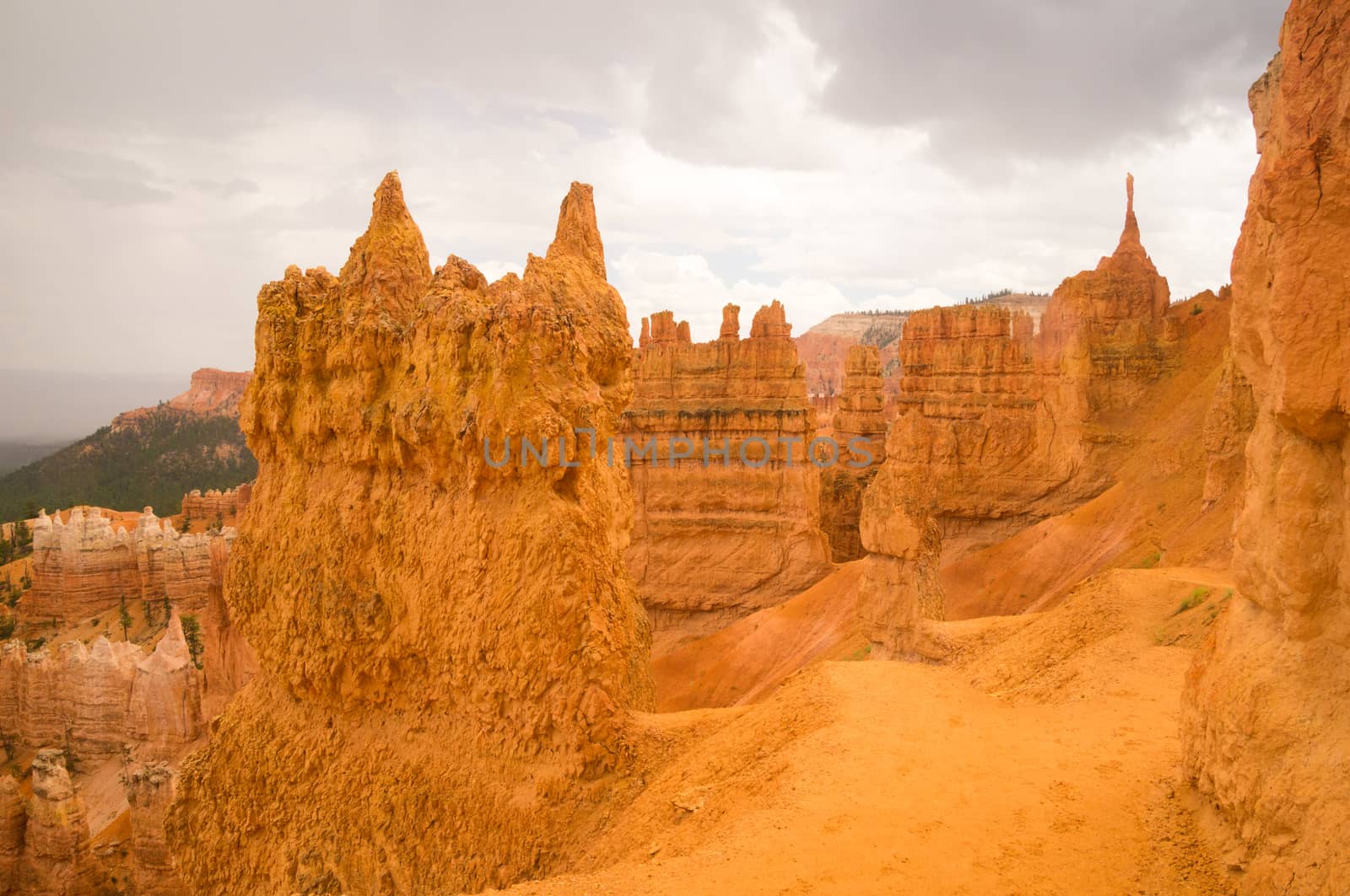 Sandstone sculptures after the rain in Bryce Canyon by emattil