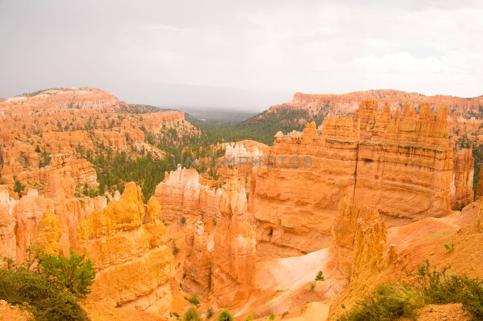 Bryce Canyon after the Summer rains by emattil