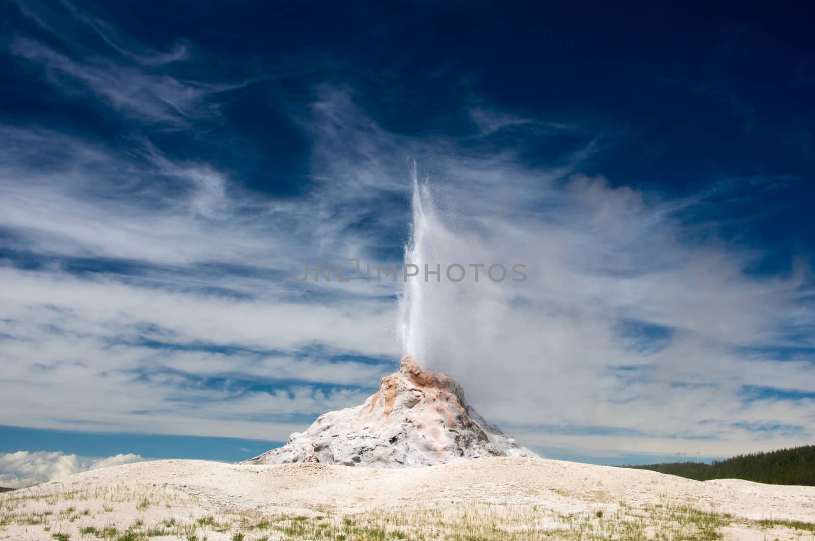 Eruption of White Dome Geyser  by emattil