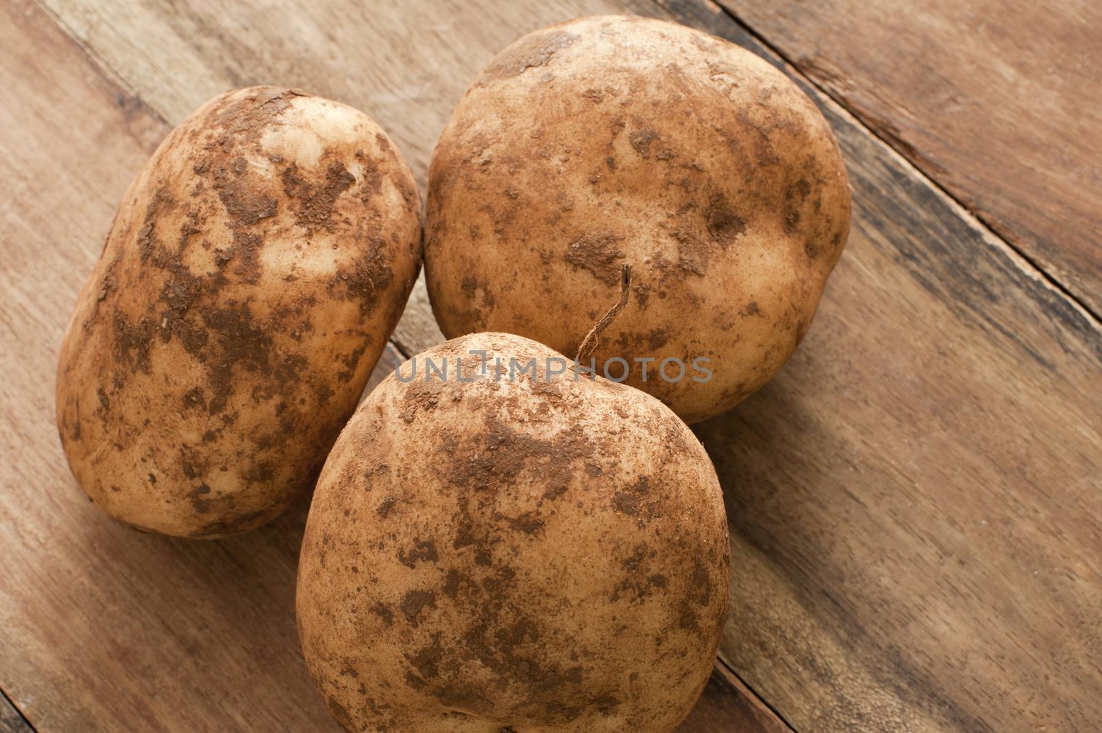 Close up view of three unwashed fresh farm potatoes with clinging soil on a rustic wooden table for a healthy nutritious vegetable accompaniment to a meal