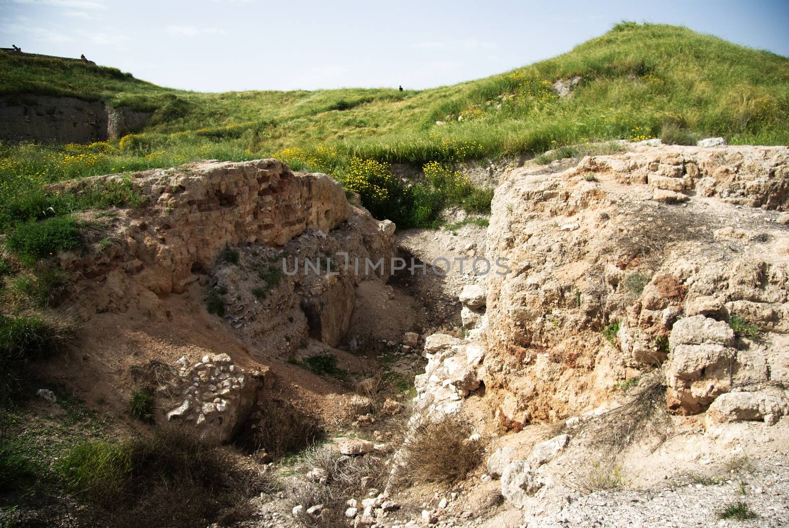 Archeology and history national park with spring landscape in Israel