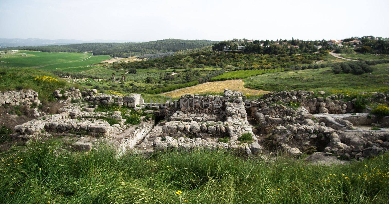 Archeology and history national park with spring landscape in Israel