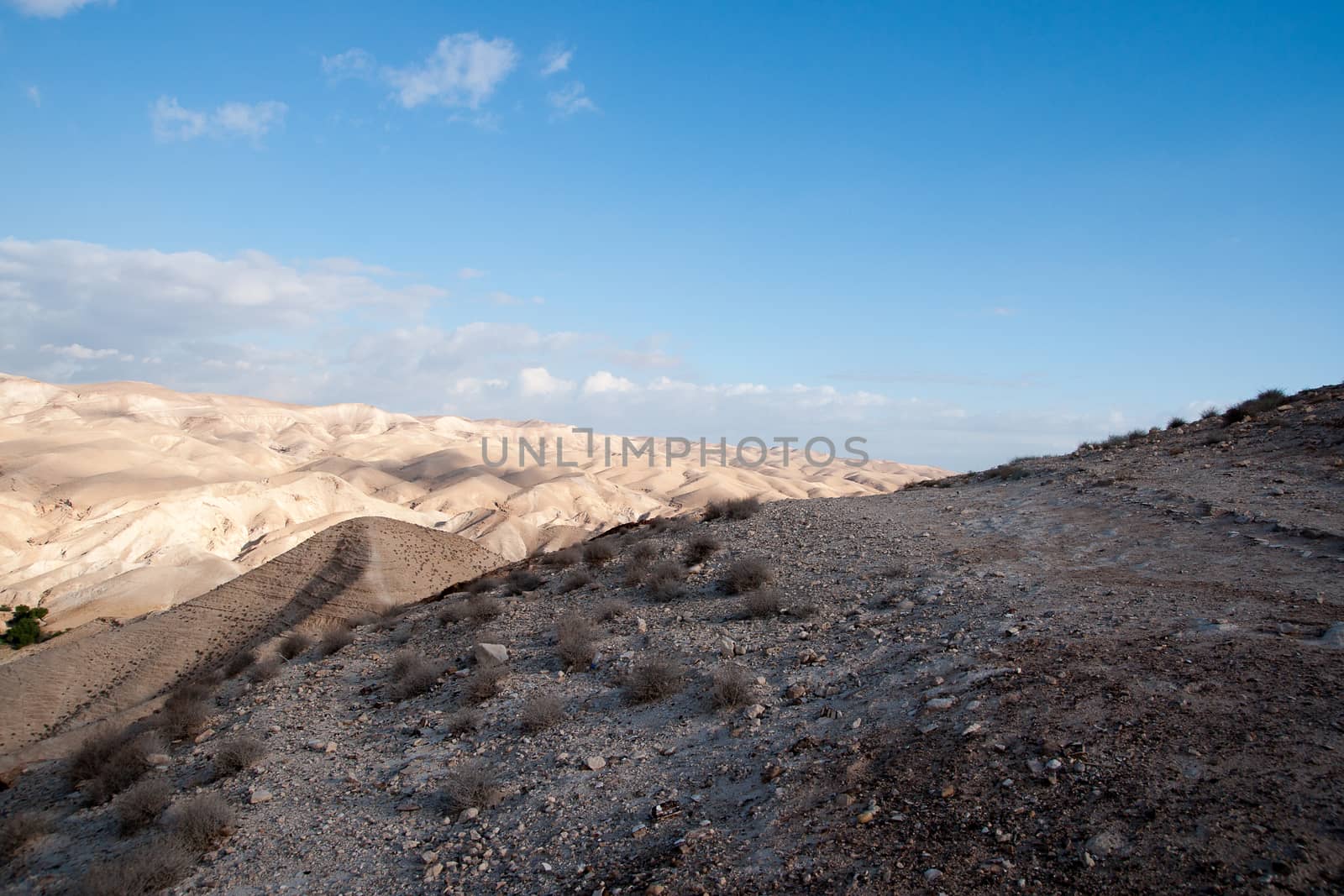 Wadi celt judean desert travel attraction in Israel