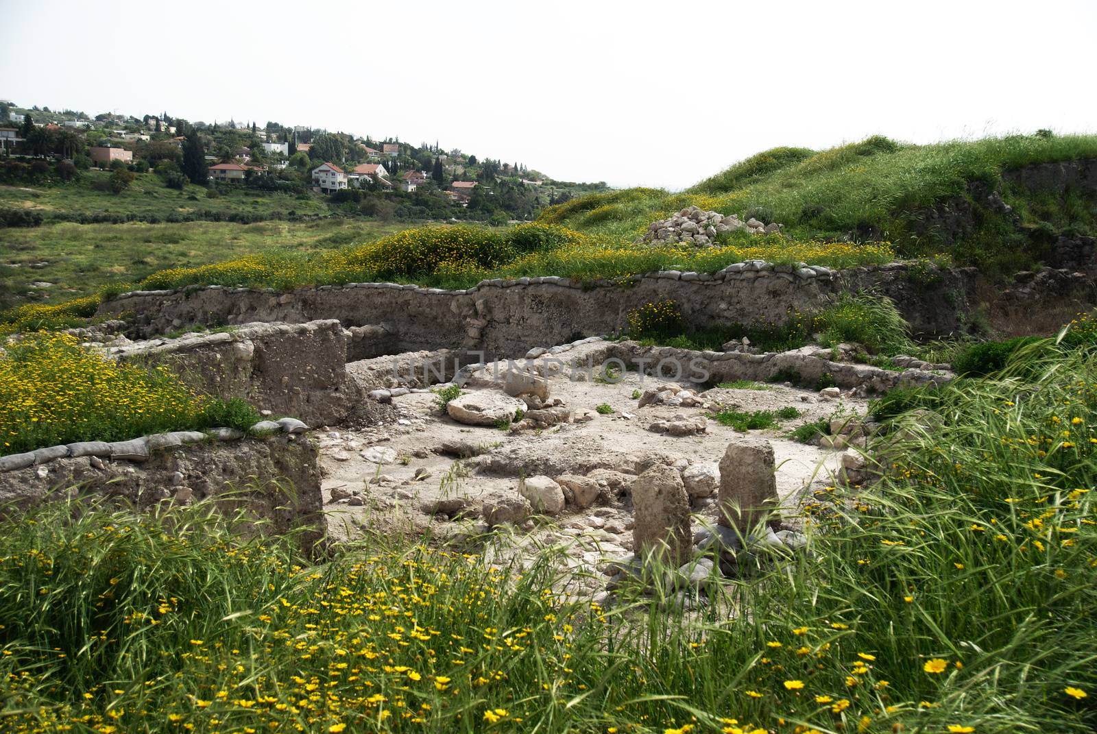 Archeology and history national park with spring landscape in Israel