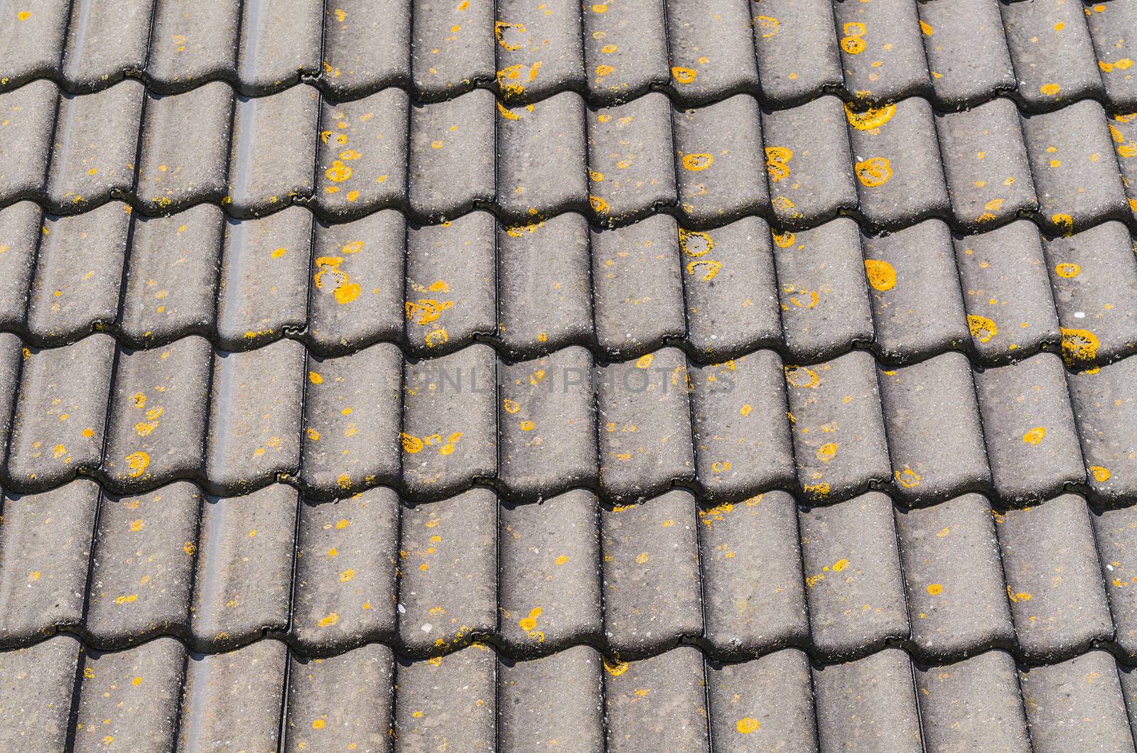 Detail some old house roof with mossy and weathered roof tiles.