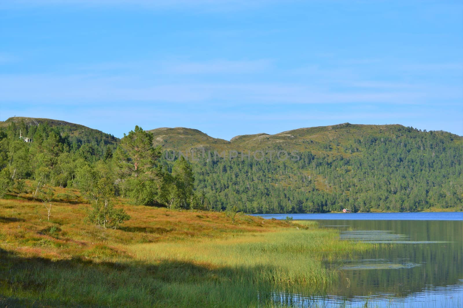 Beautiful countryside from Norway's west coast, close to the town of Molde.