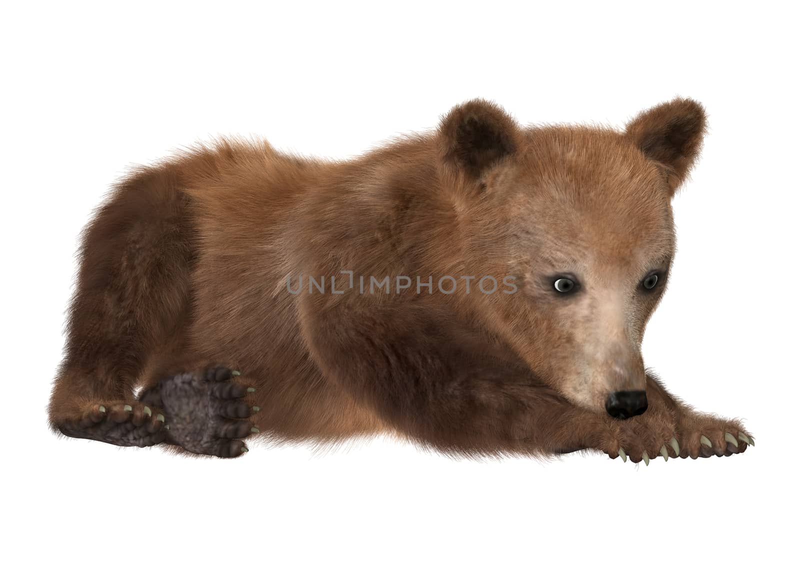 3D digital render of a brown bear cub isolated on white background