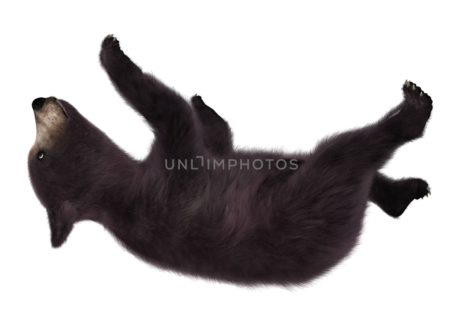 3D digital render of a black bear cub isolated on white background