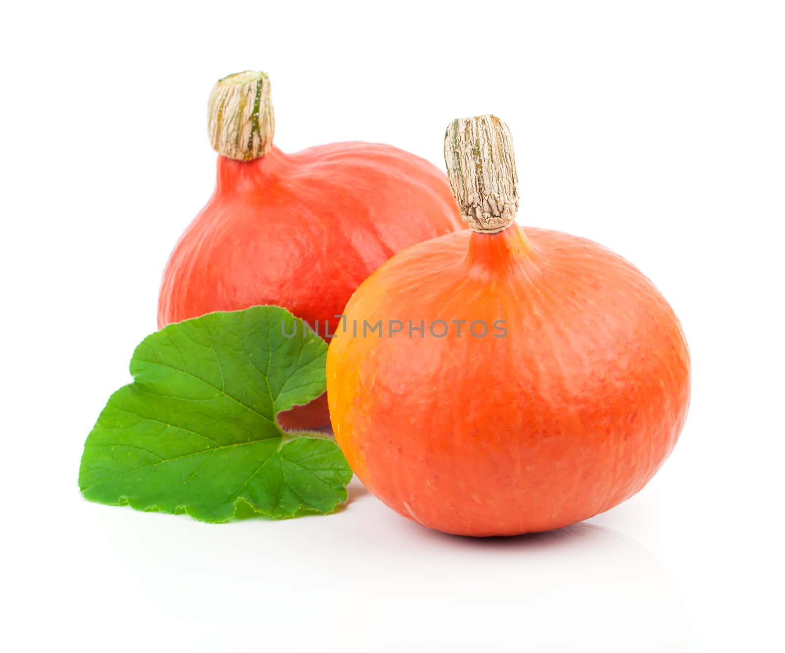 yellow pumpkins vegetables with green leaves isolated on white b by motorolka