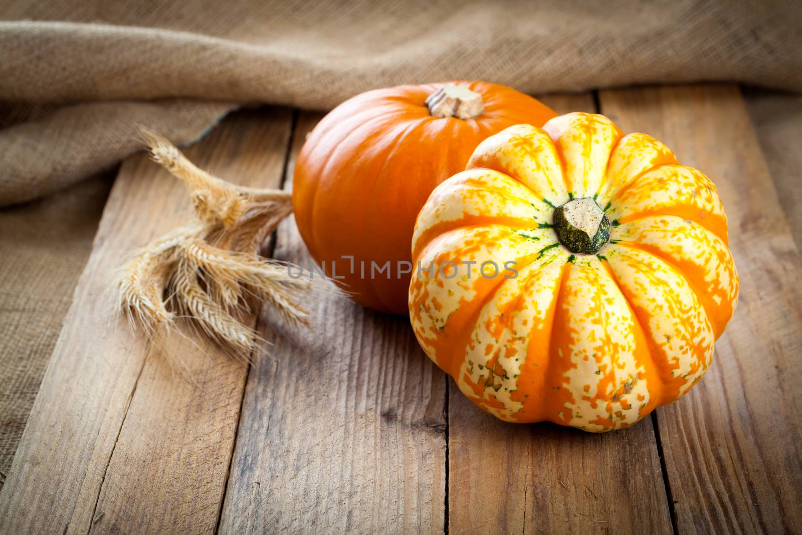 Autumn pumpkins on wooden board by motorolka