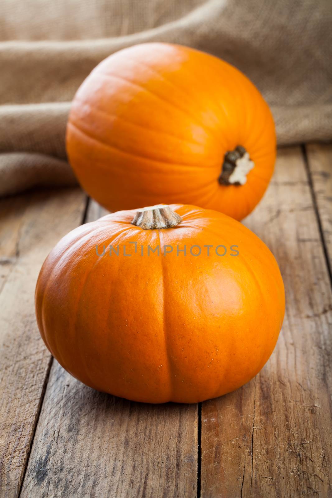 Autumn pumpkins on wooden board