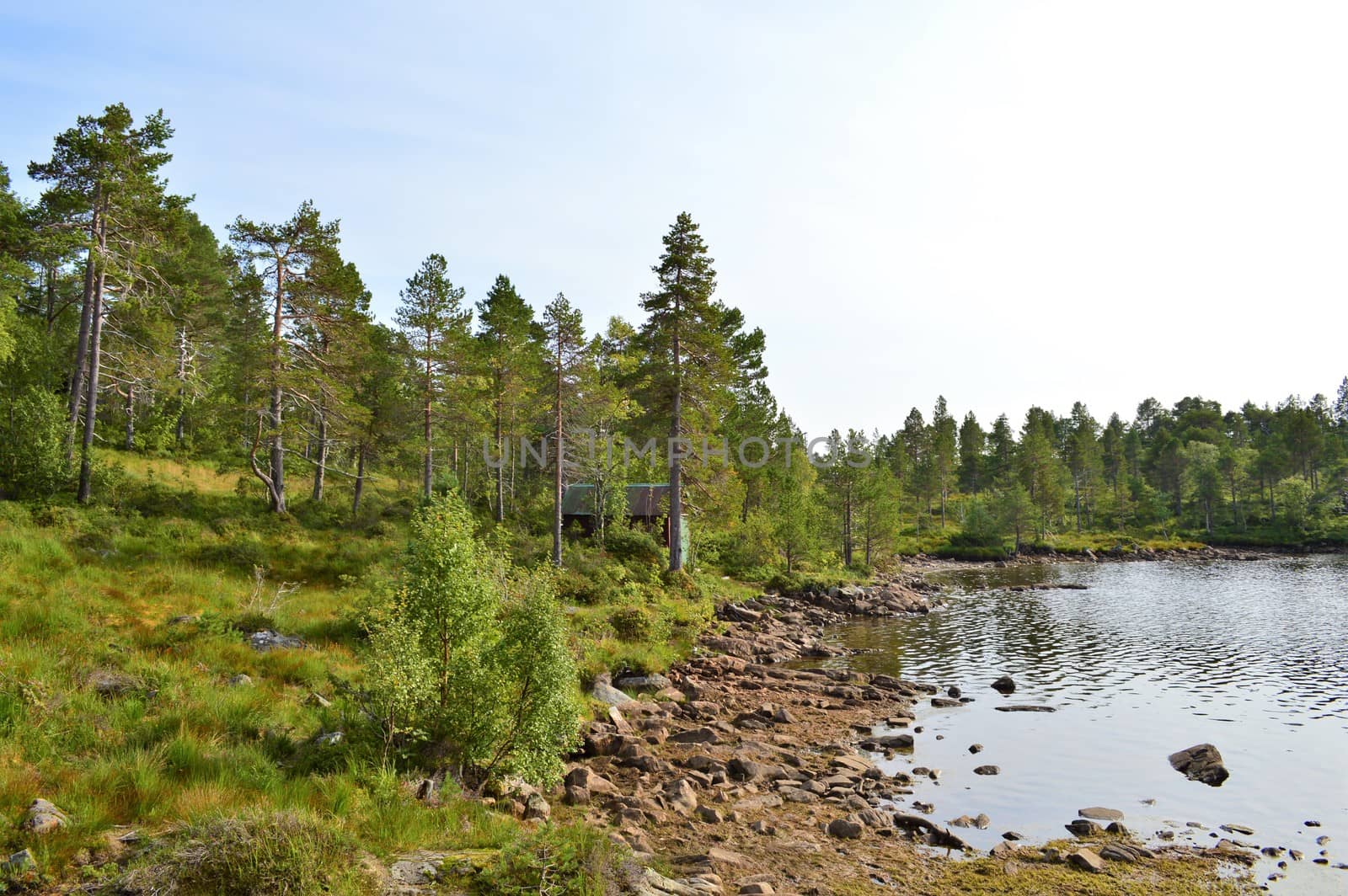 countryside from Norway's west coast, close to the town of Molde.