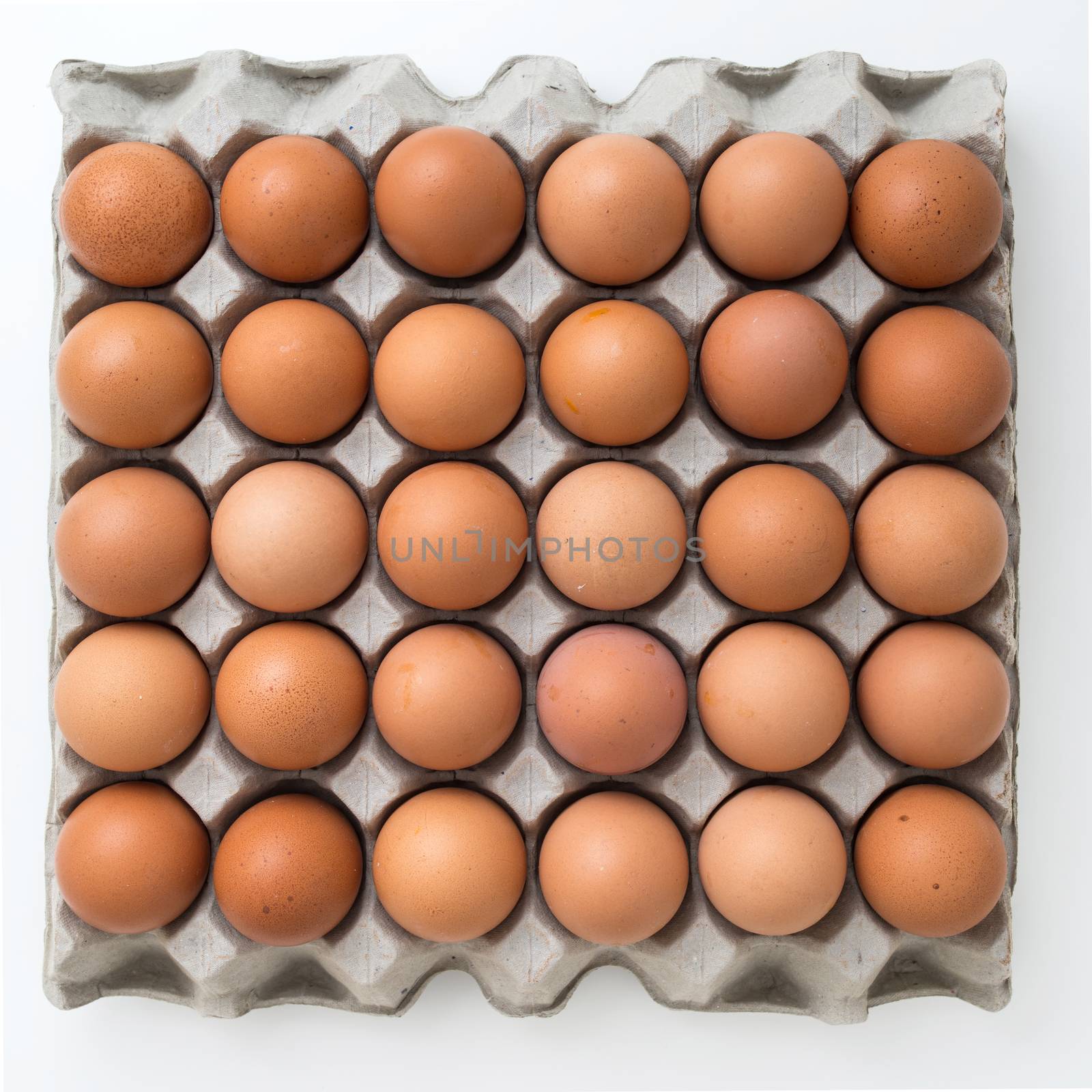 eggs in carton package by antpkr