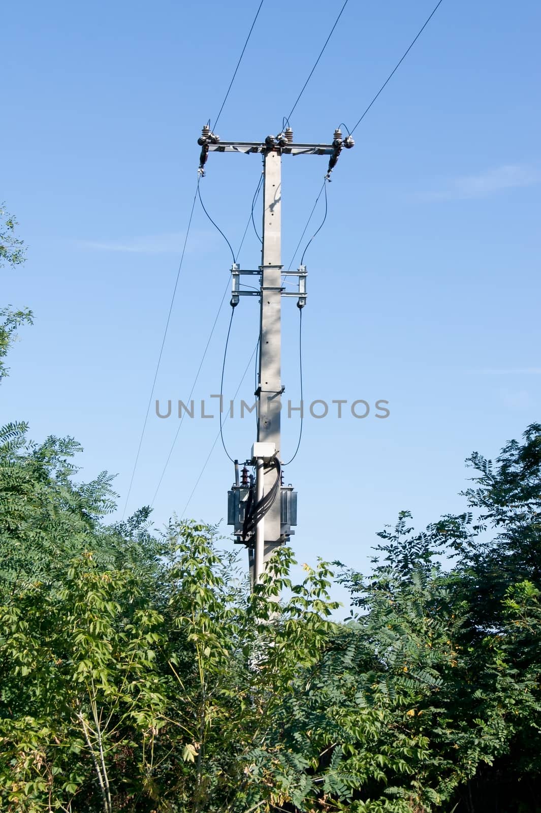 And a transmission line transformer above the forest