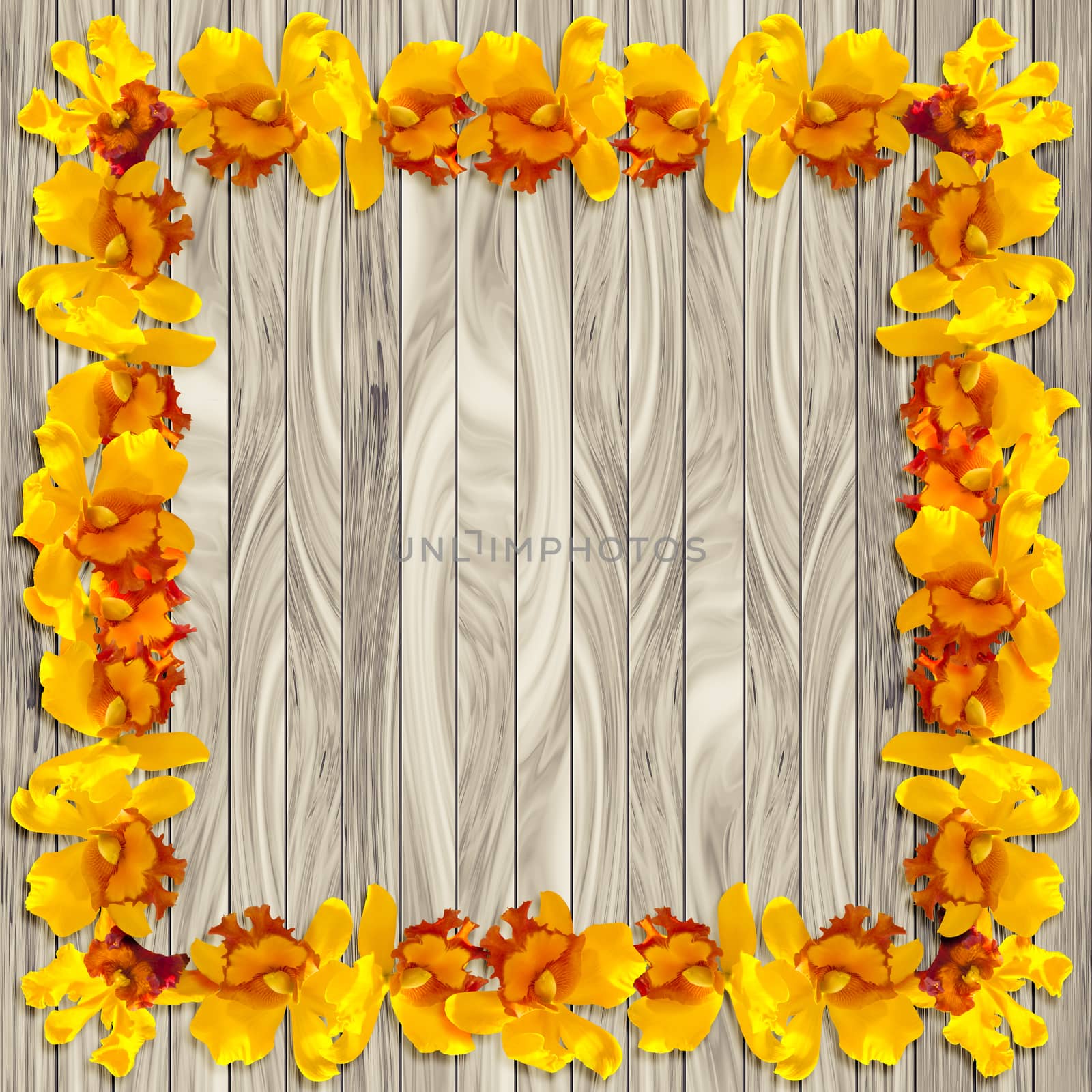 Abstact Beauty Yellow orchid on wood plank background