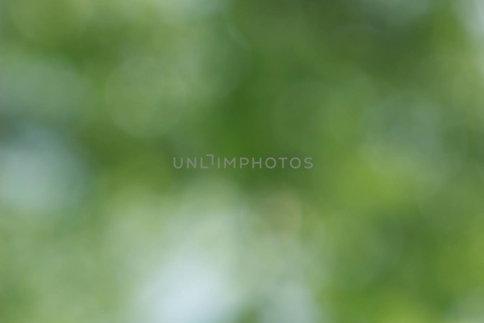 bokeh background by simpleBE