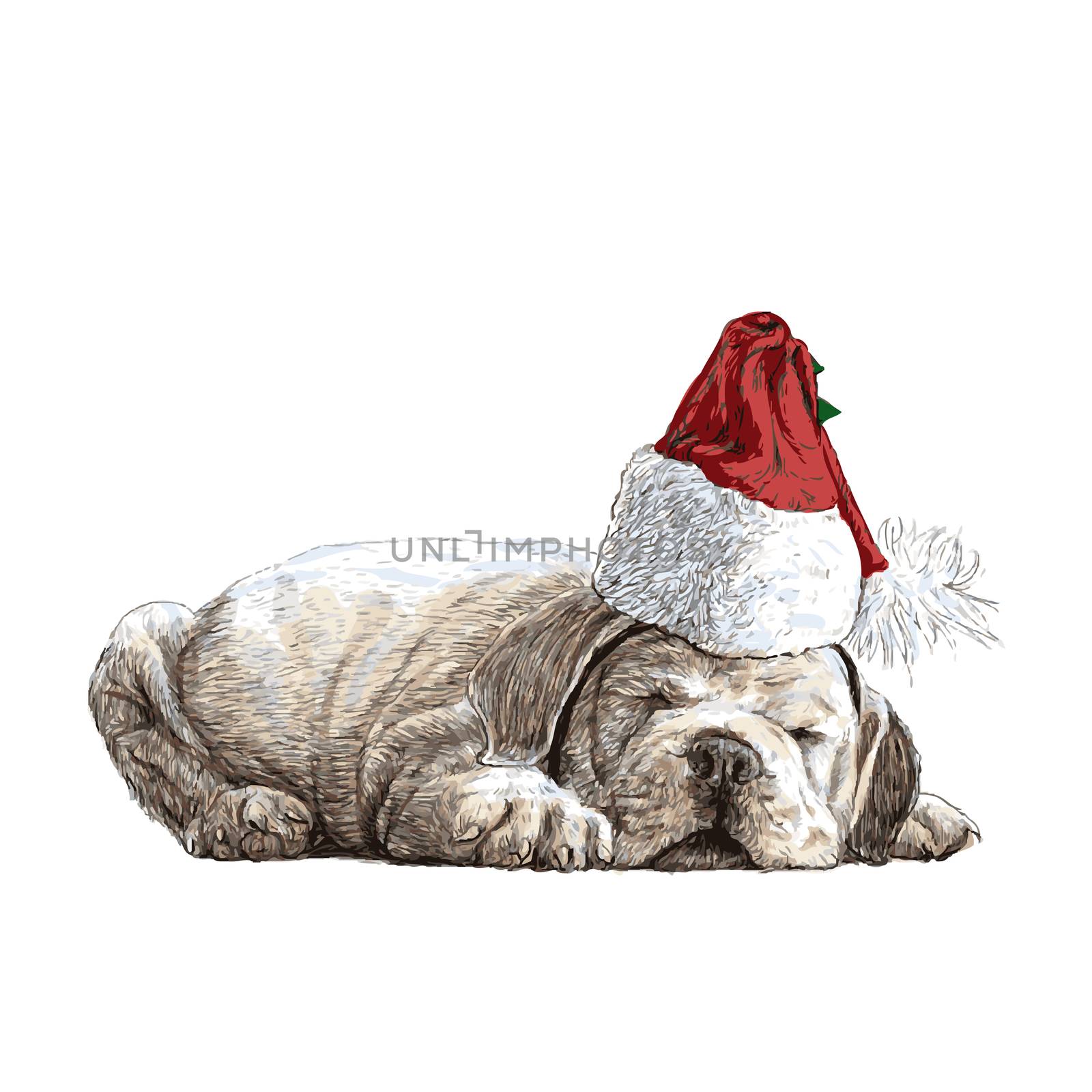 Bulldog with santa claus hat hand drawn vector , use for christmas background