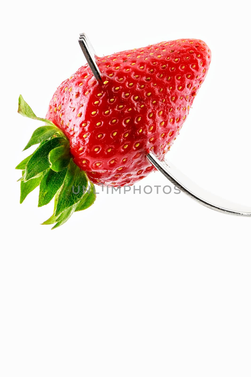 Strawberry on fork on a white background.Vertical image